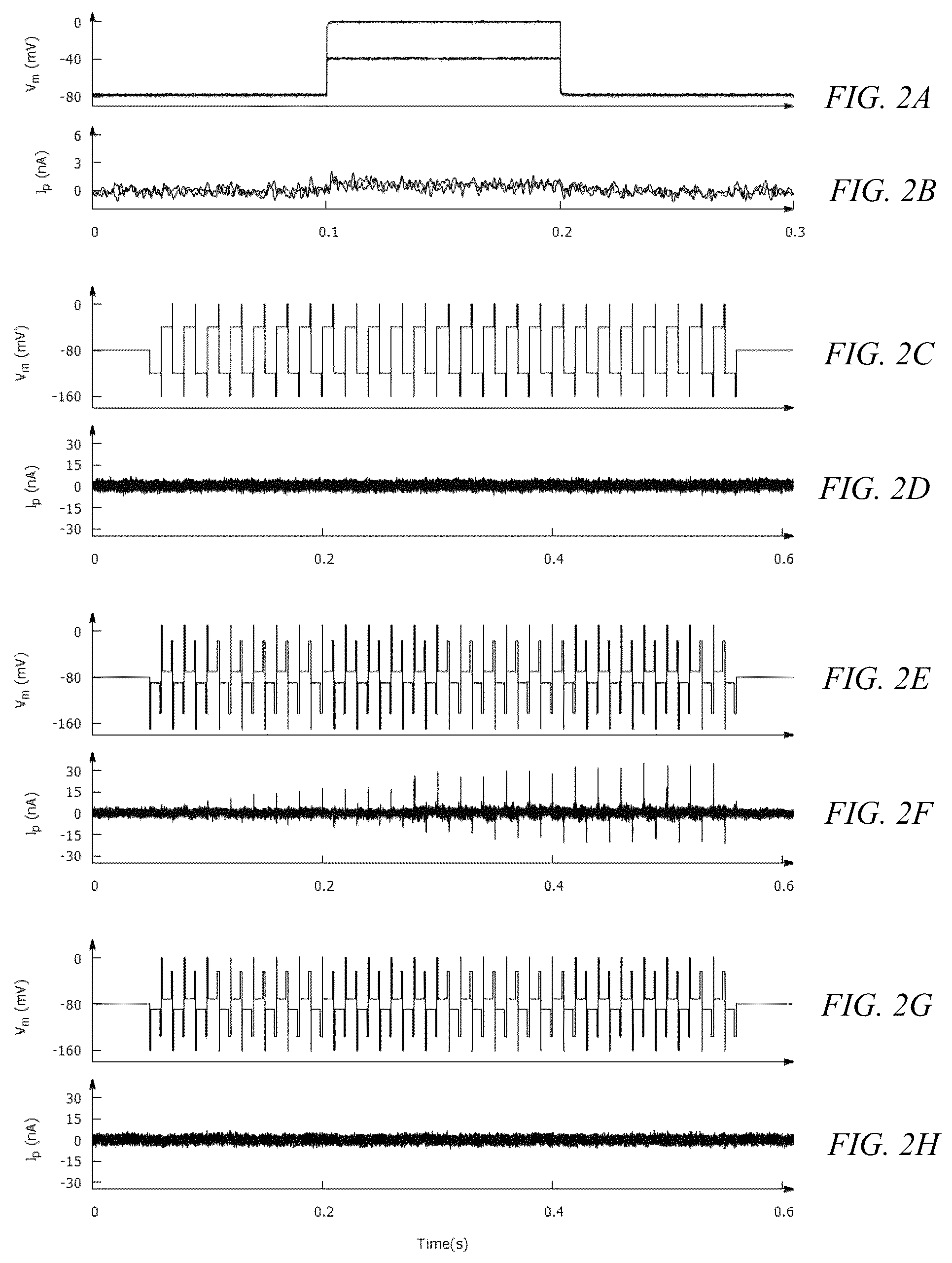 Patent US12319908 Figure 2 – System and method for the activation of active ion transporters without the consumption of adenosine triphosphate (ATP) molecules