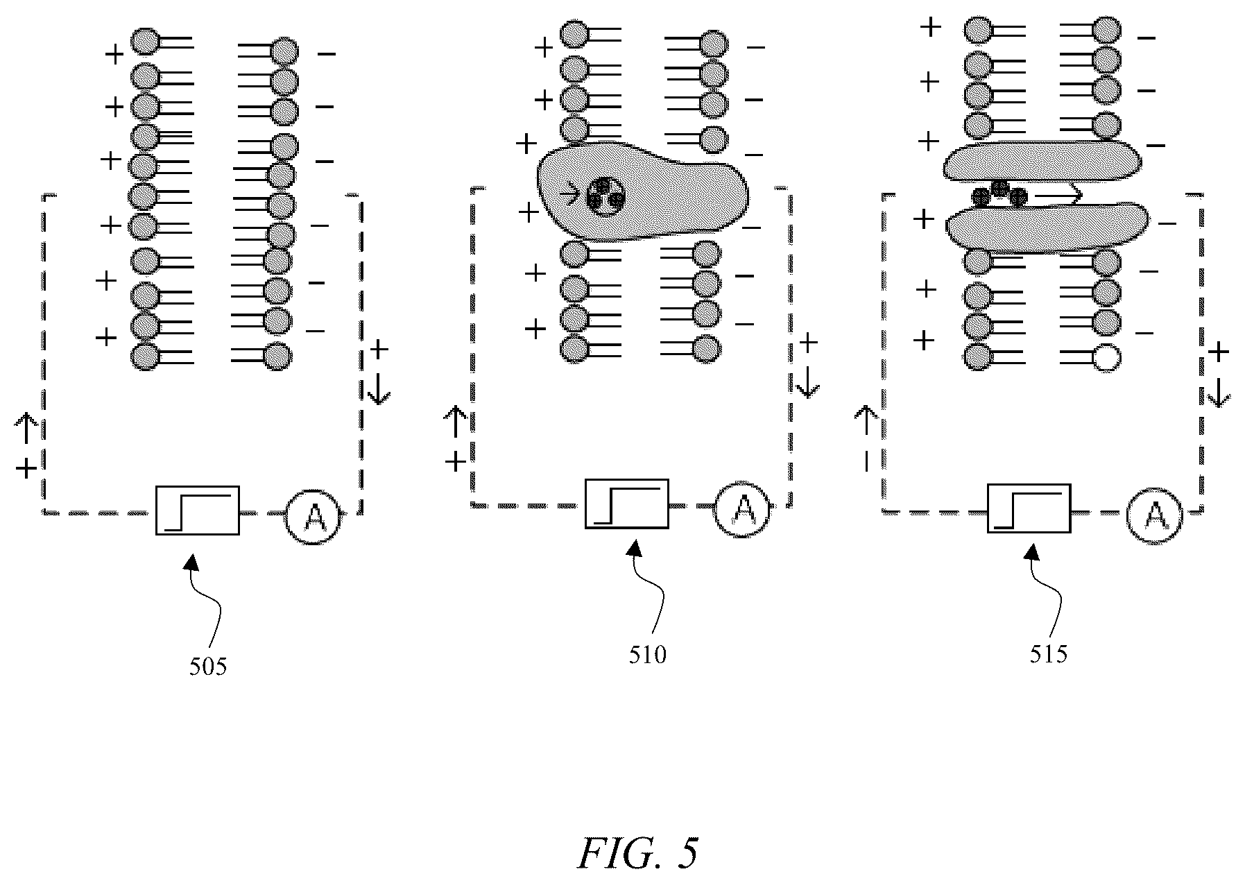 Patent US12319908 Figure 5 – System and method for the activation of active ion transporters without the consumption of adenosine triphosphate (ATP) molecules