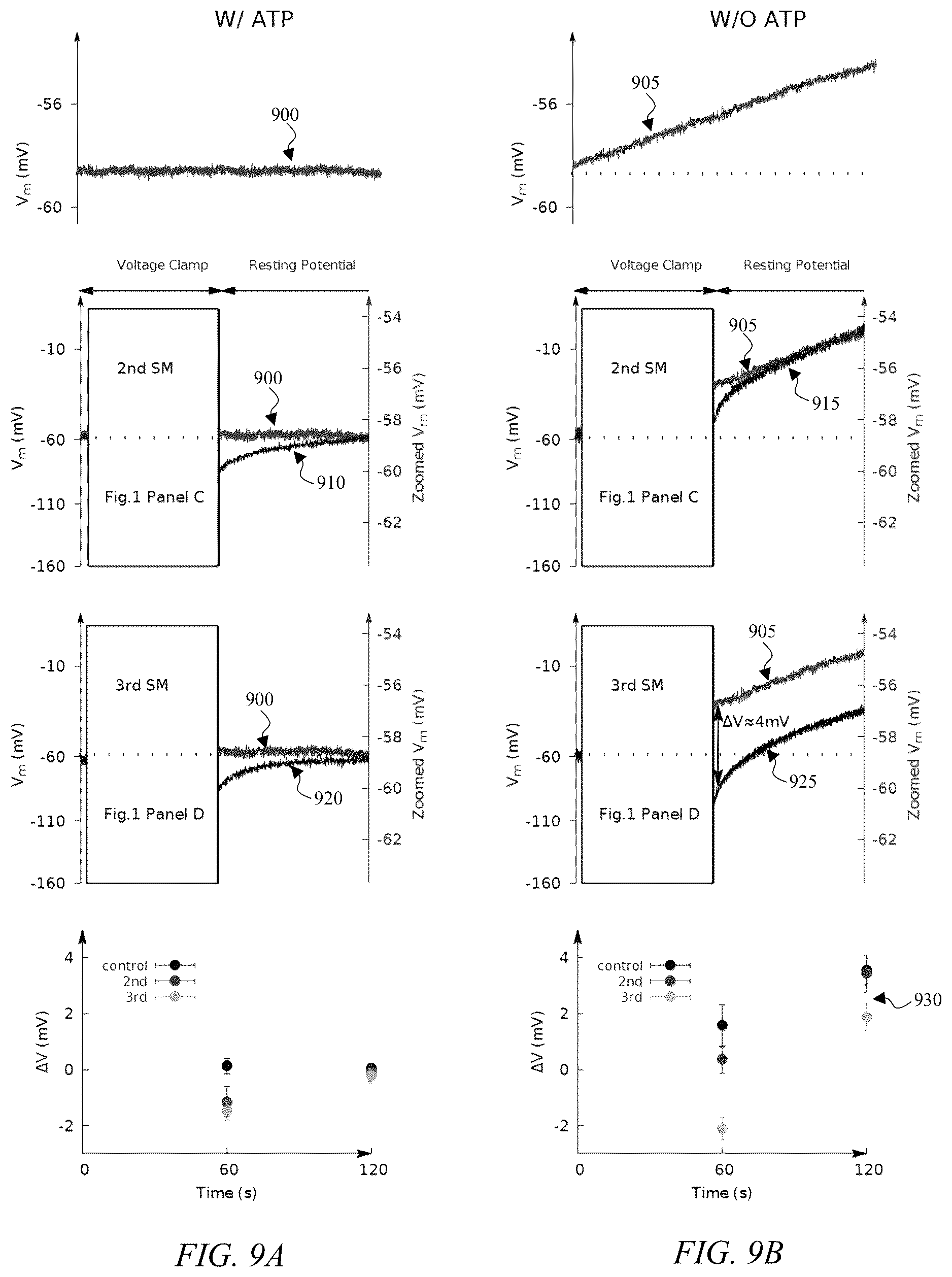 Patent US12319908 Figure 8 – System and method for the activation of active ion transporters without the consumption of adenosine triphosphate (ATP) molecules
