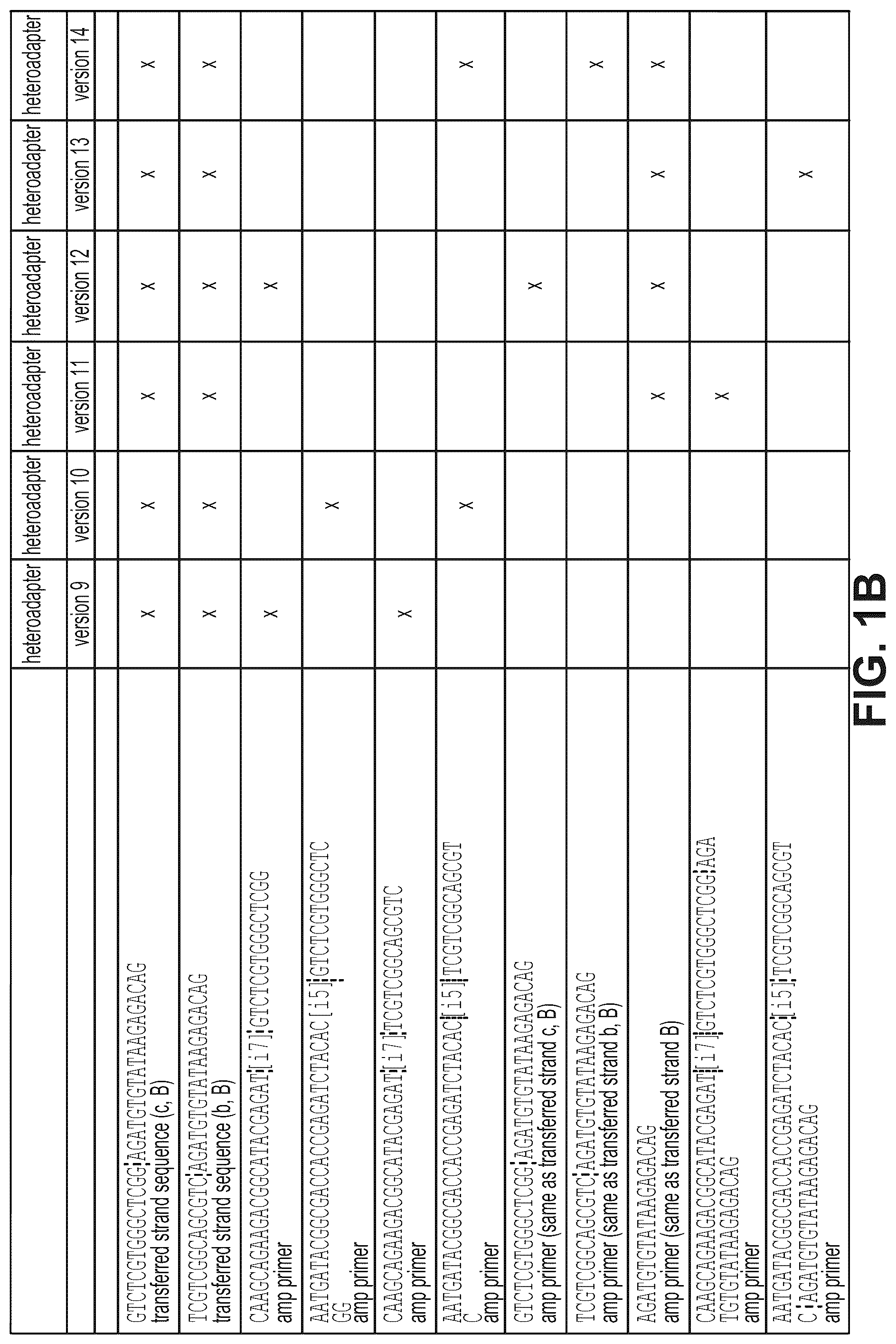 Patent US12319910 Figure 2 – Second strand direct