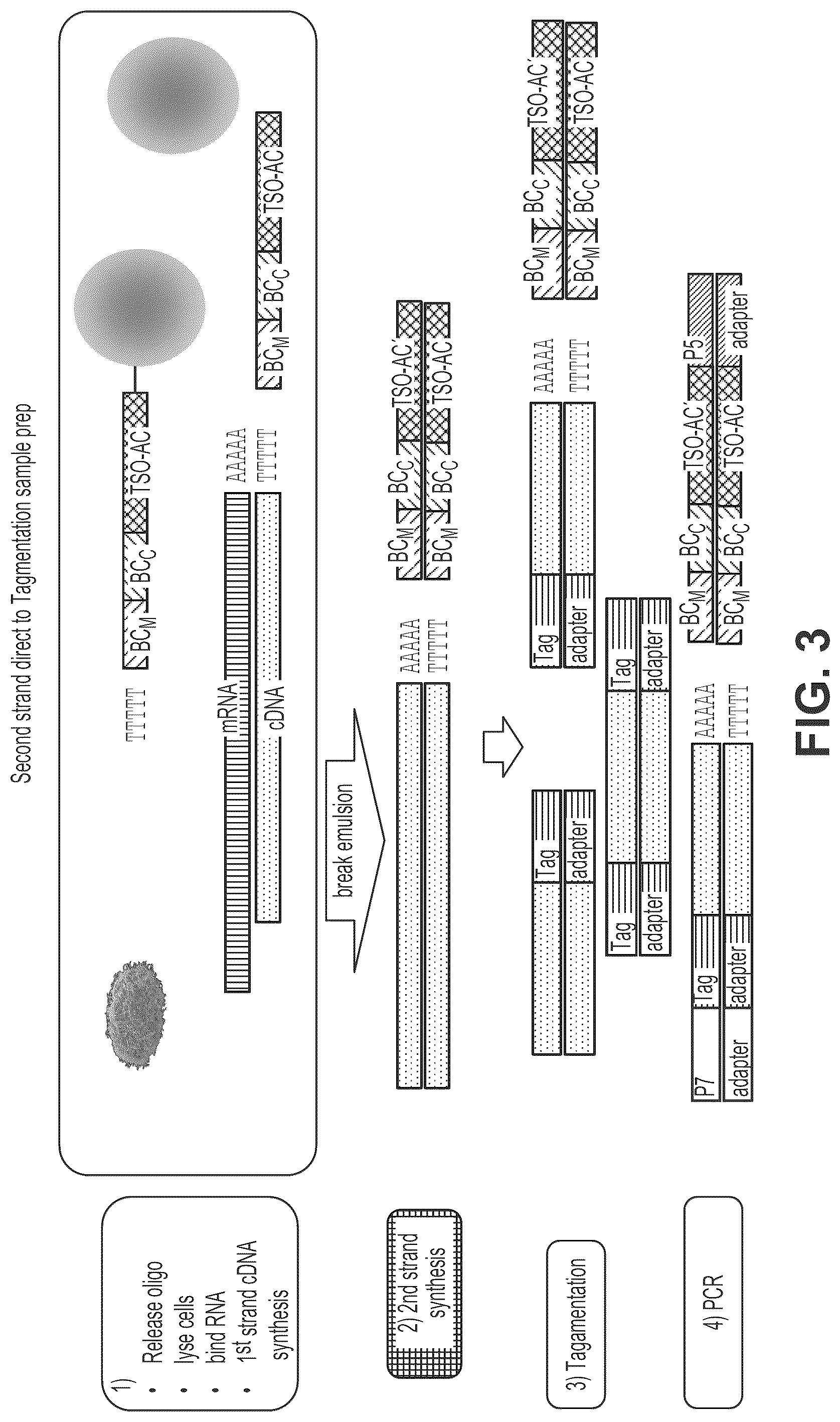 Patent US12319910 Figure 4 – Second strand direct
