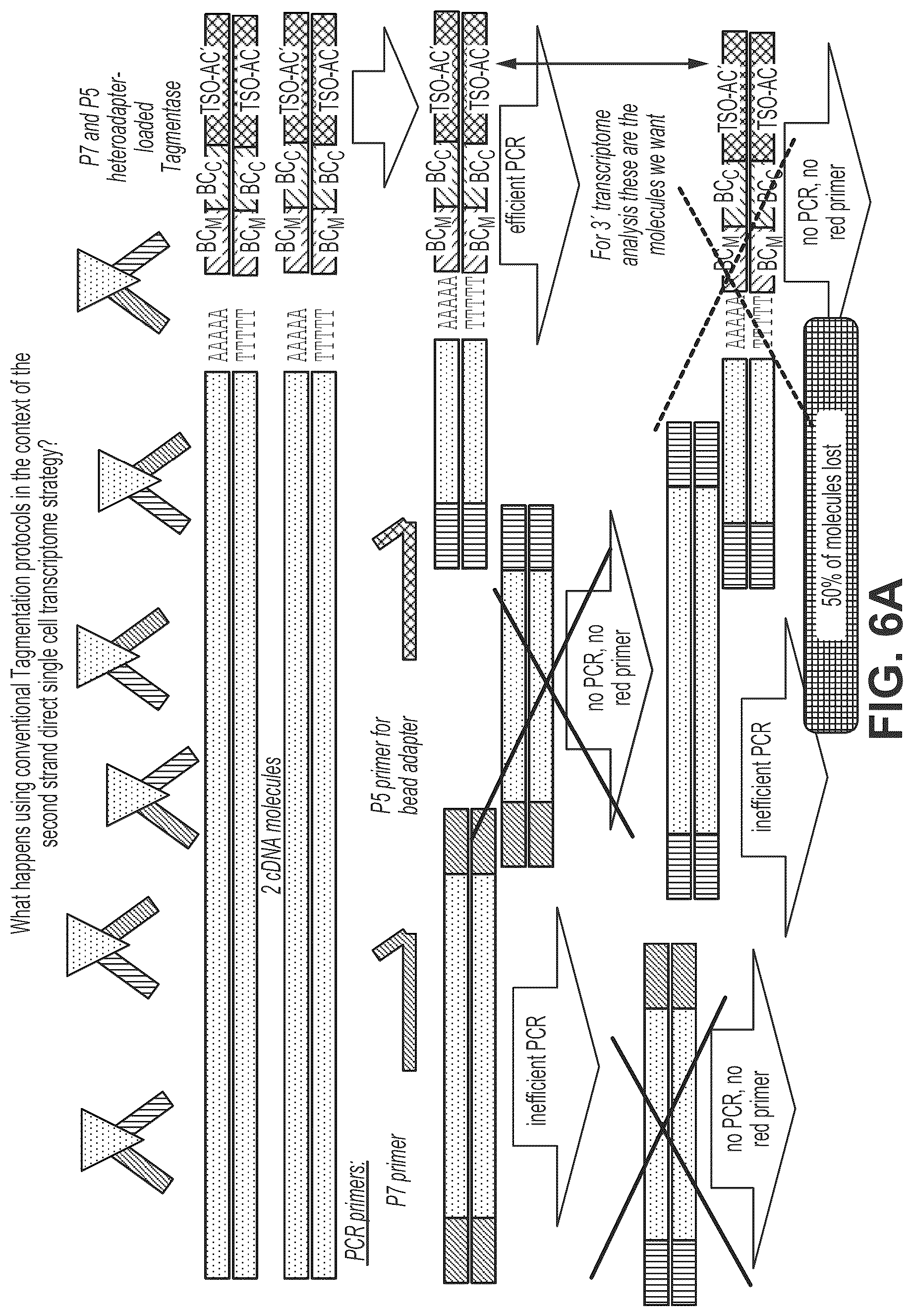 Patent US12319910 Figure 7 – Second strand direct