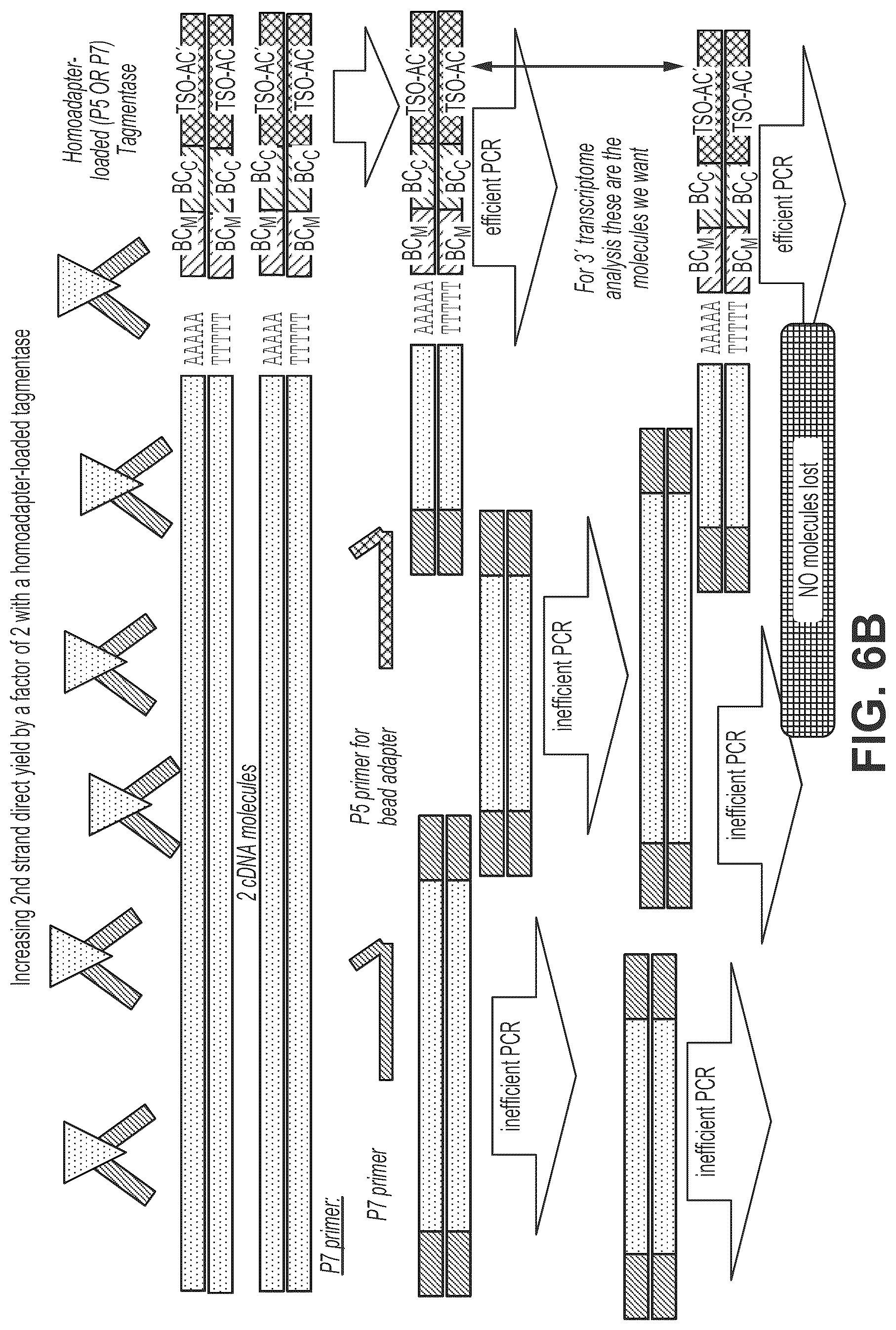 Patent US12319910 Figure 8 – Second strand direct