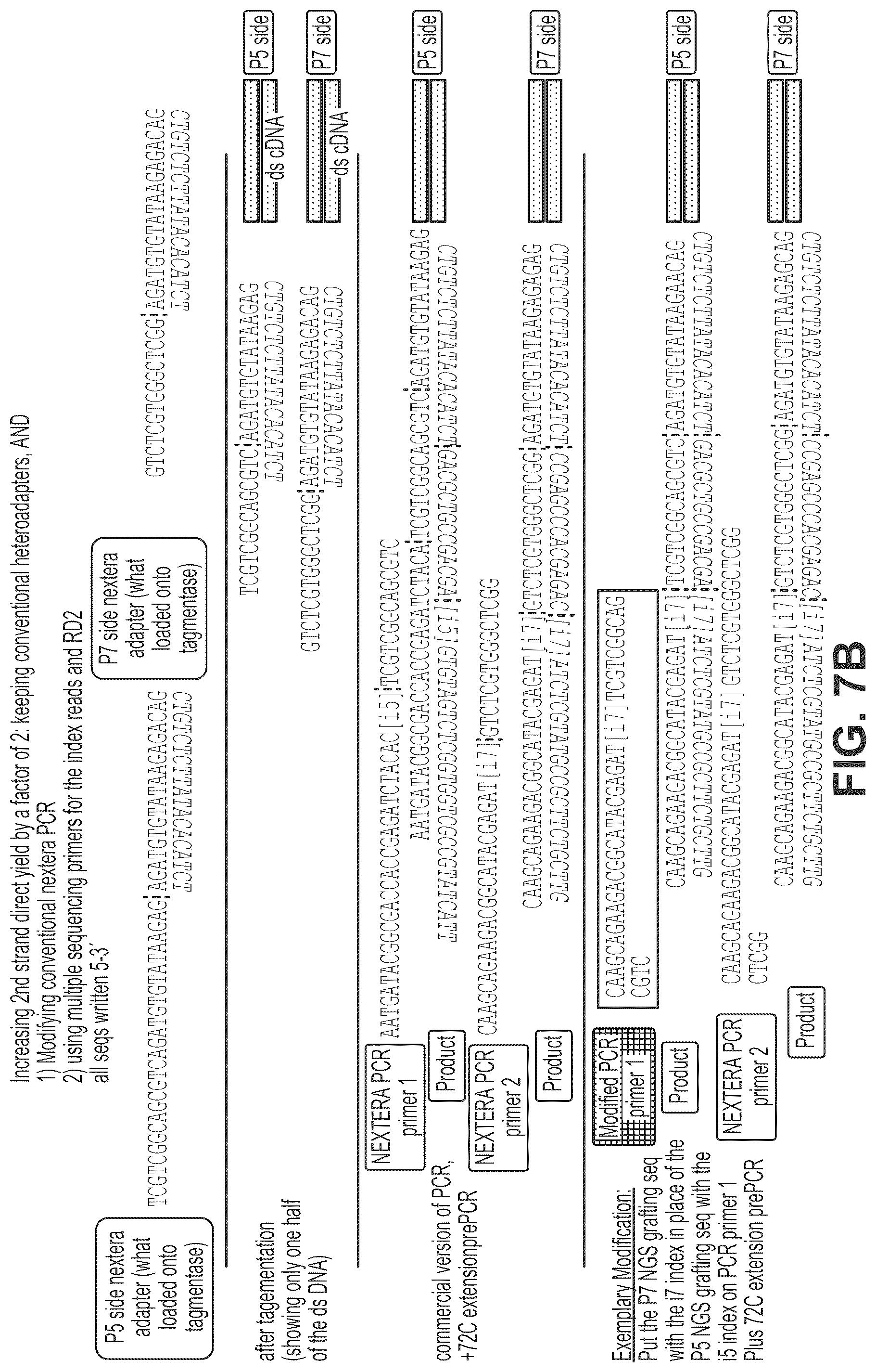 Patent US12319910 Figure 10 – Second strand direct