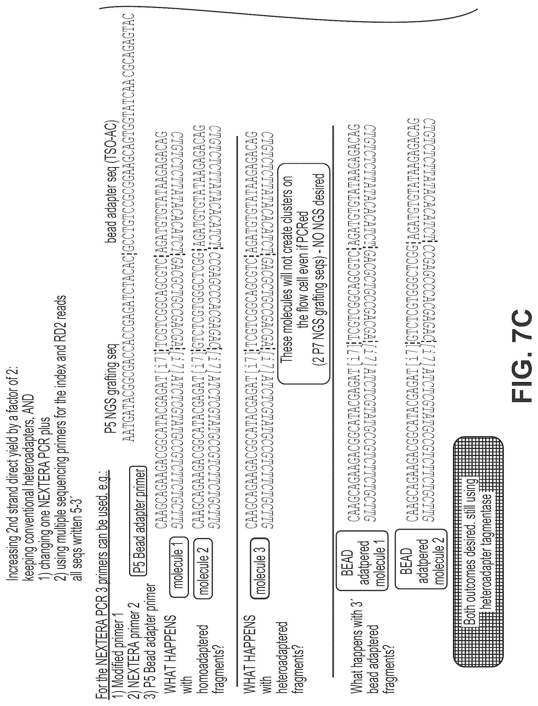 Patent US12319910 Figure 11 – Second strand direct