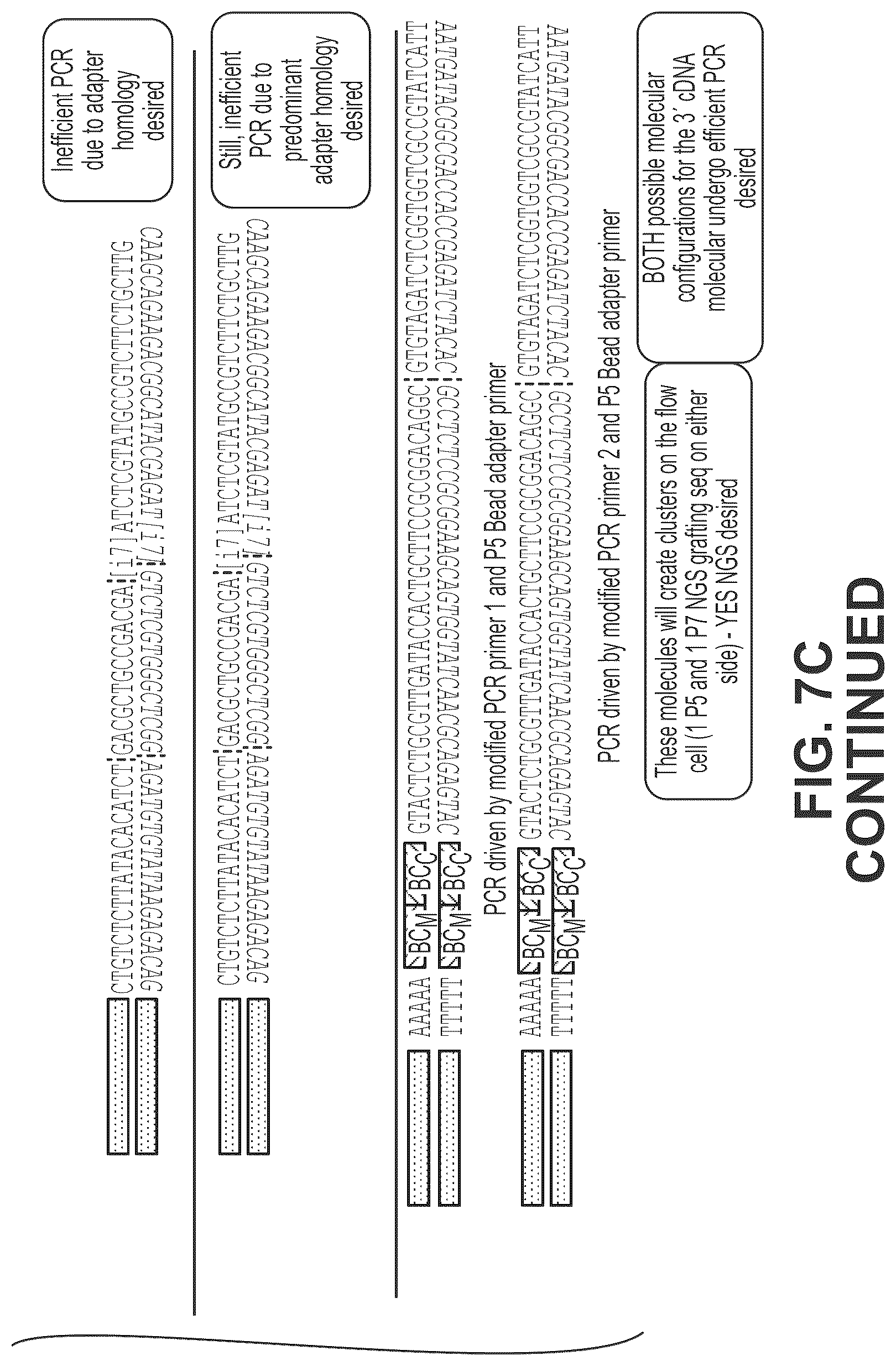 Patent US12319910 Figure 12 – Second strand direct