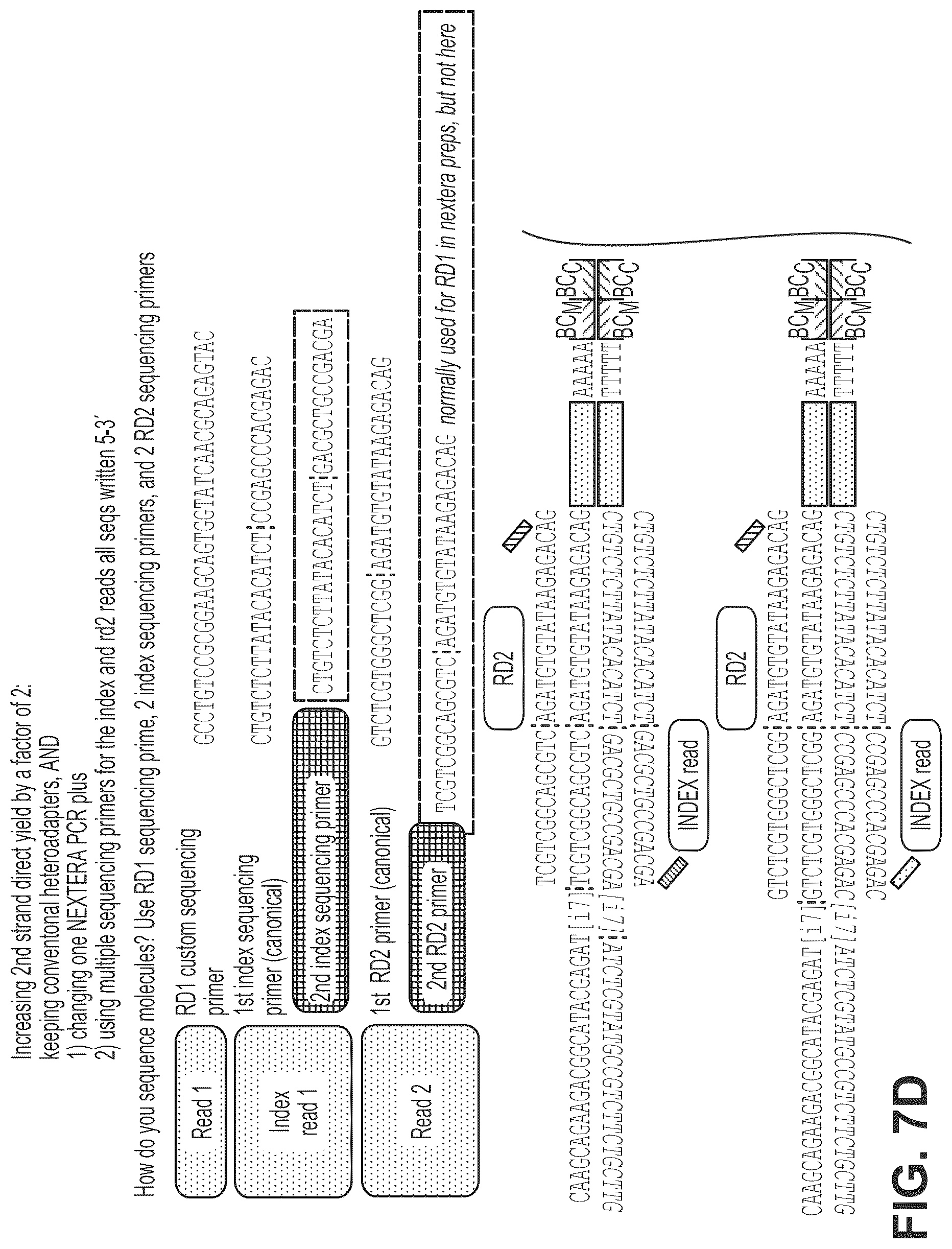 Patent US12319910 Figure 13 – Second strand direct