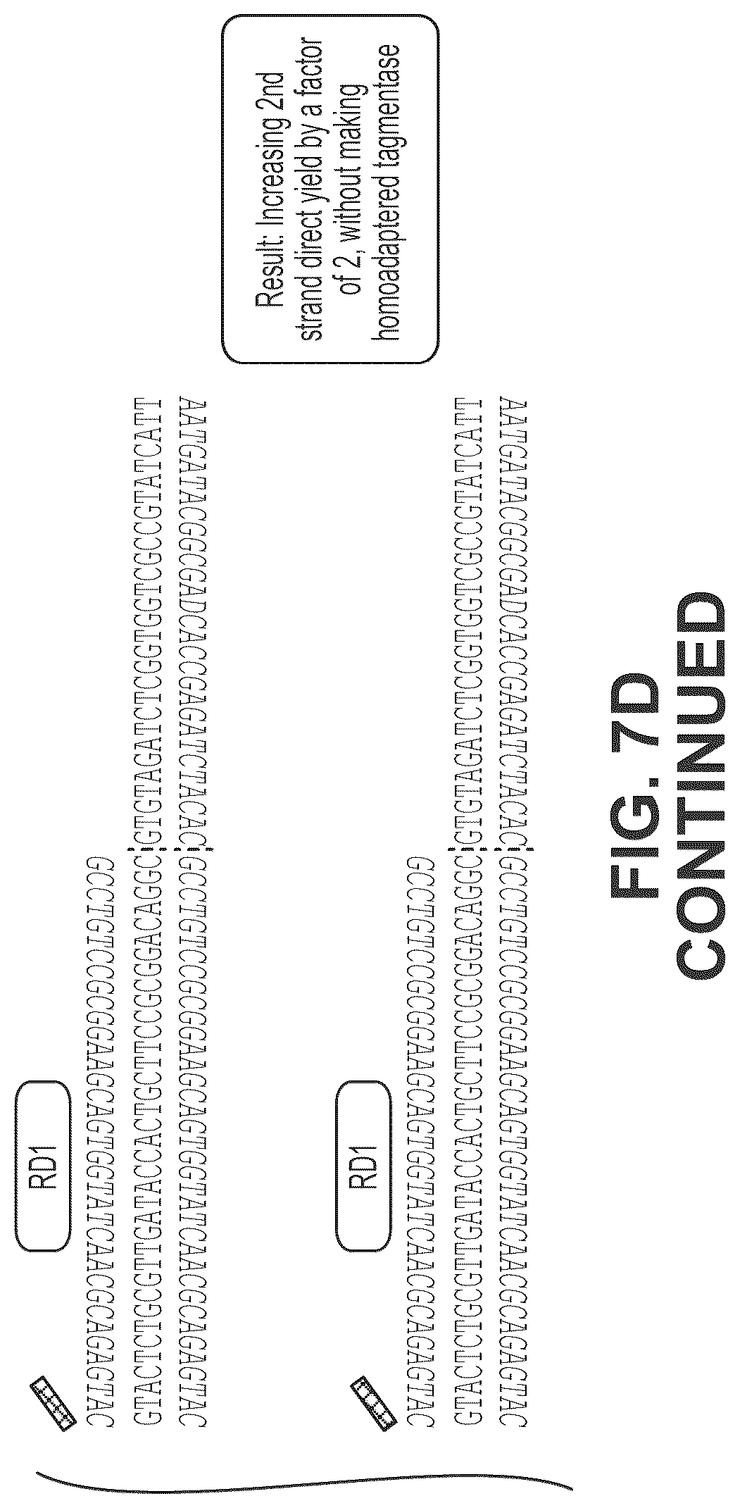 Patent US12319910 Figure 14 – Second strand direct