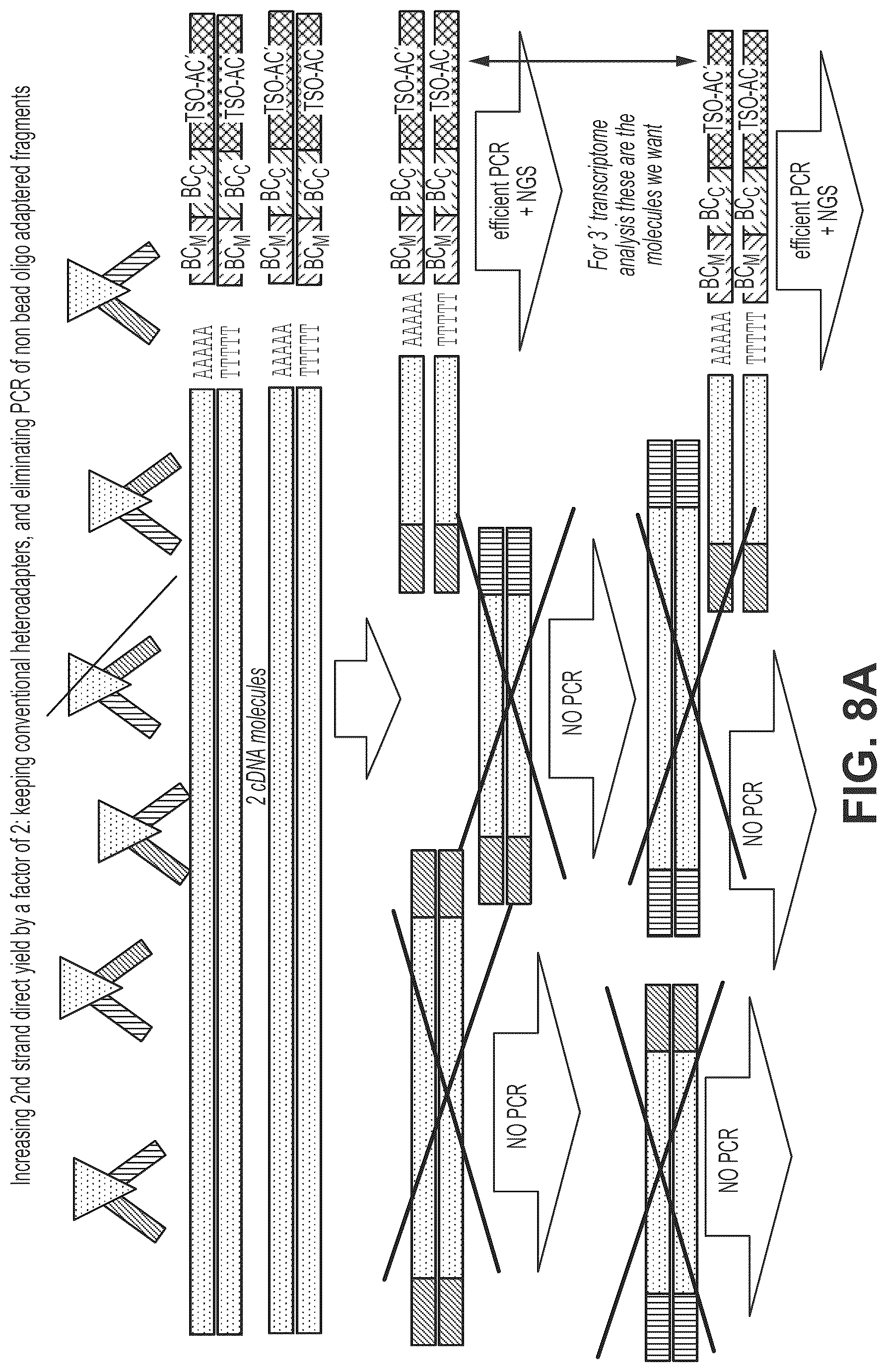 Patent US12319910 Figure 15 – Second strand direct