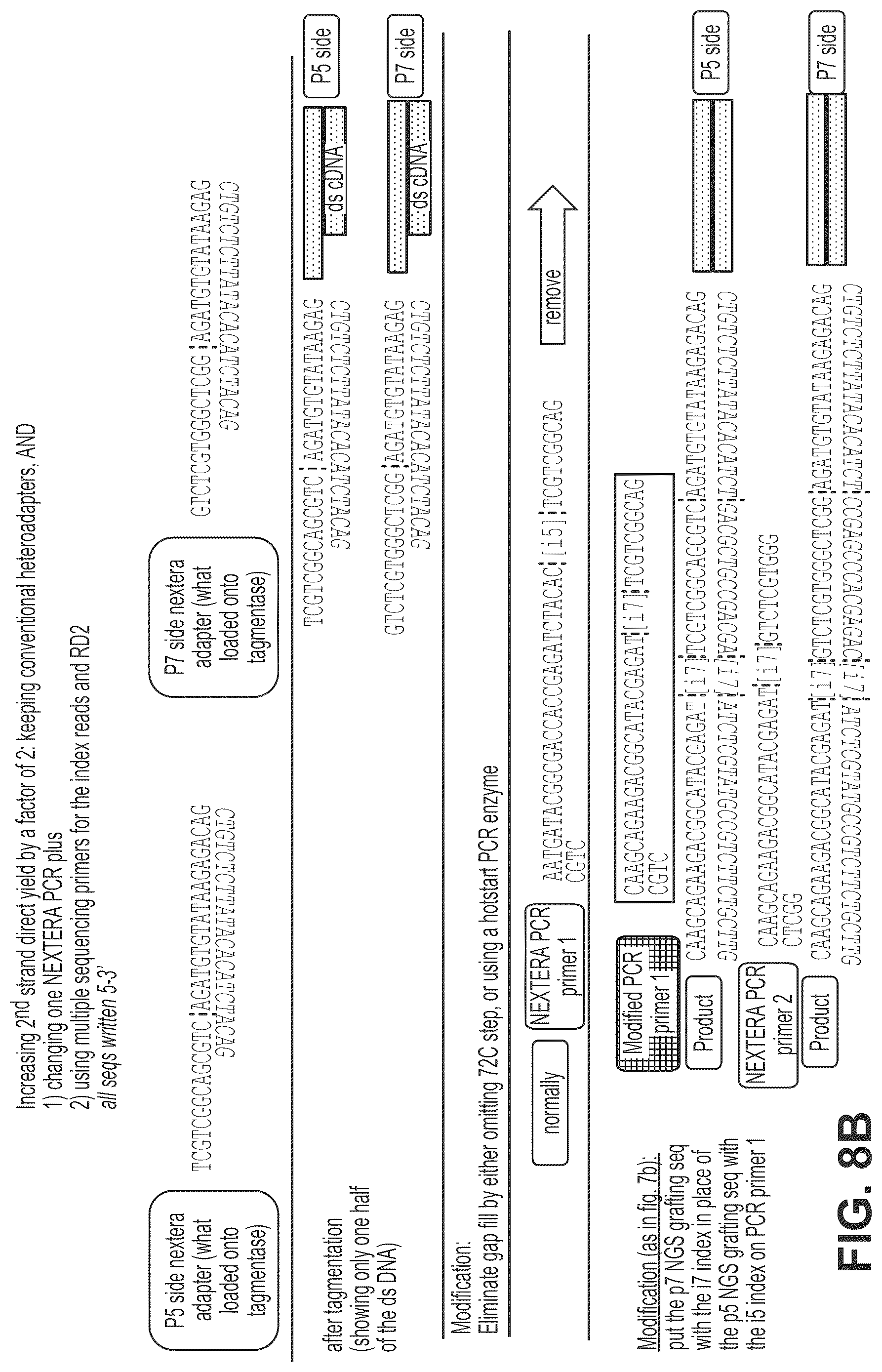 Patent US12319910 Figure 16 – Second strand direct