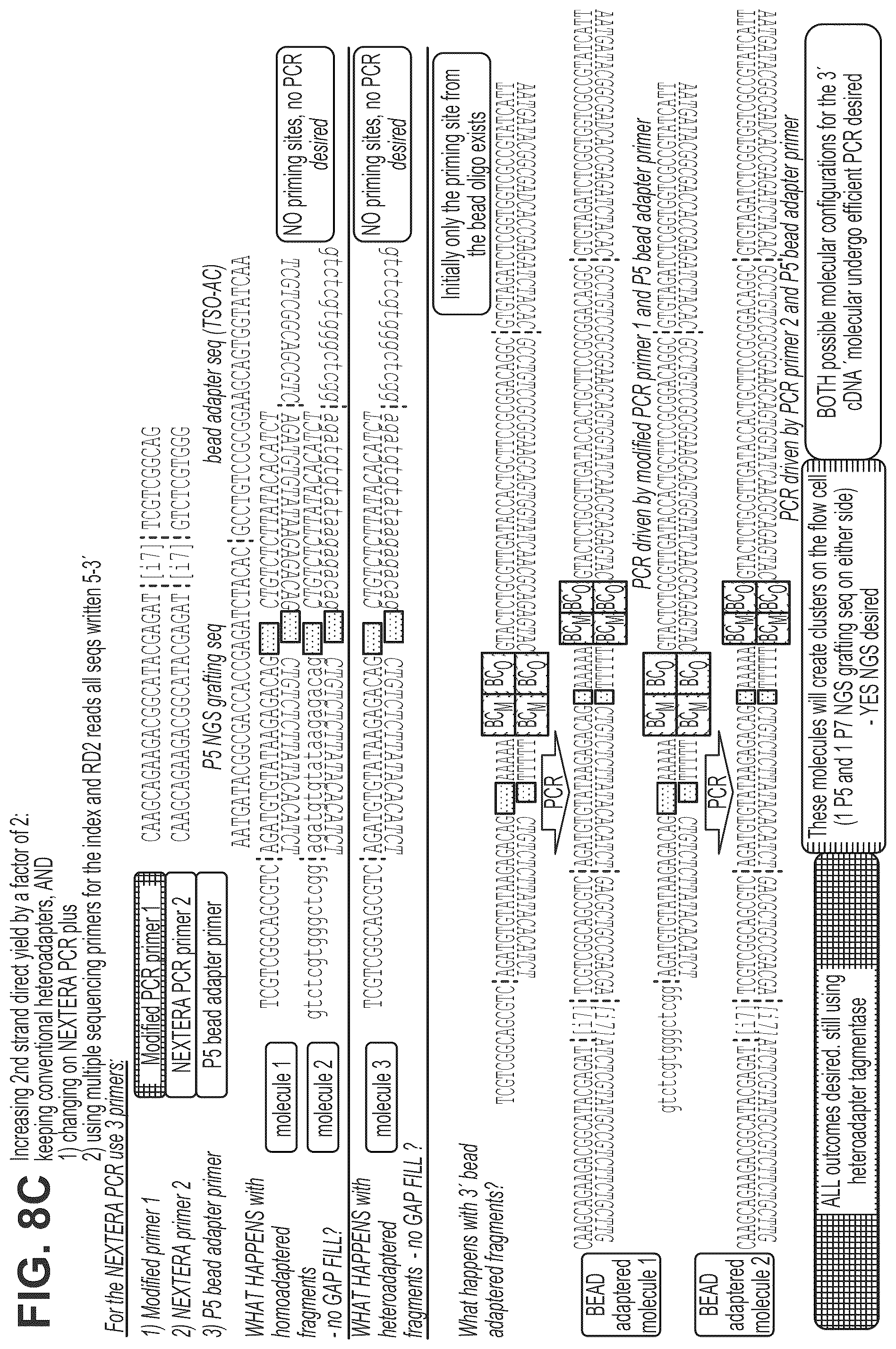 Patent US12319910 Figure 17 – Second strand direct