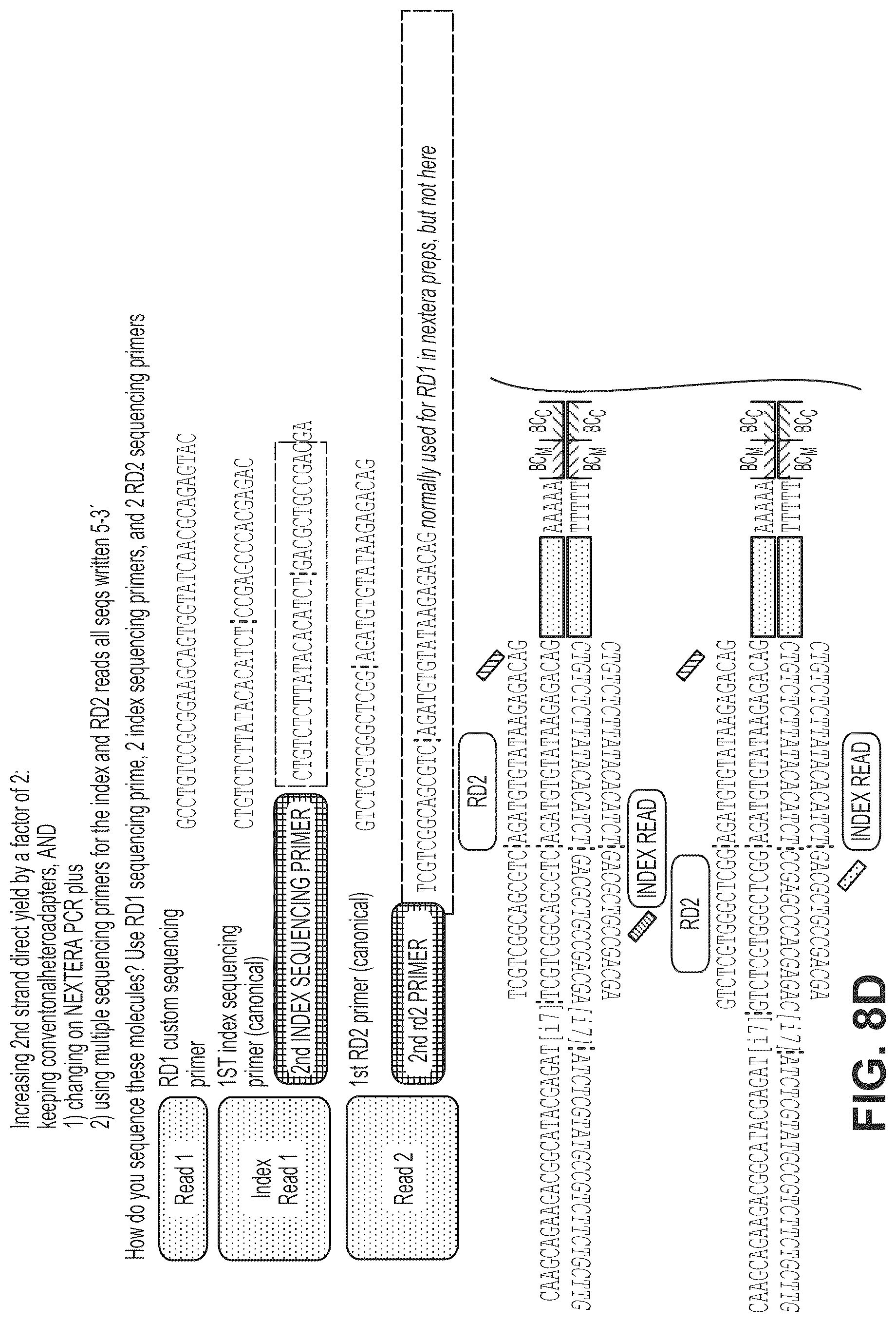 Patent US12319910 Figure 18 – Second strand direct