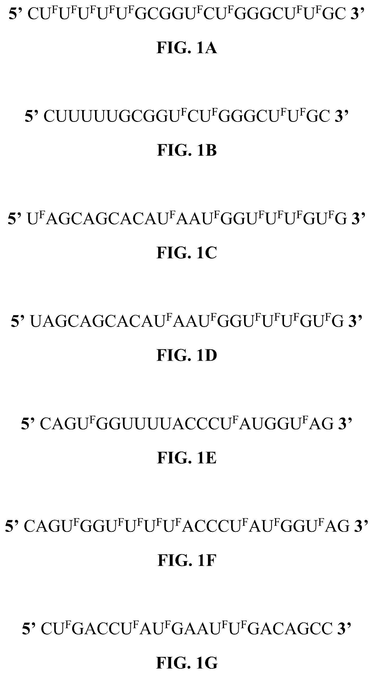 Patent US12319913 Figure 1 – 5-halouracil-modified microRNAs and their use in the treatment of cancer