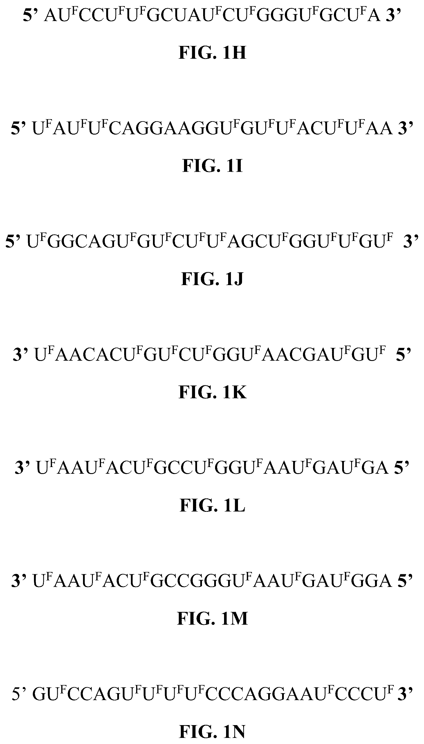 Patent US12319913 Figure 2 – 5-halouracil-modified microRNAs and their use in the treatment of cancer