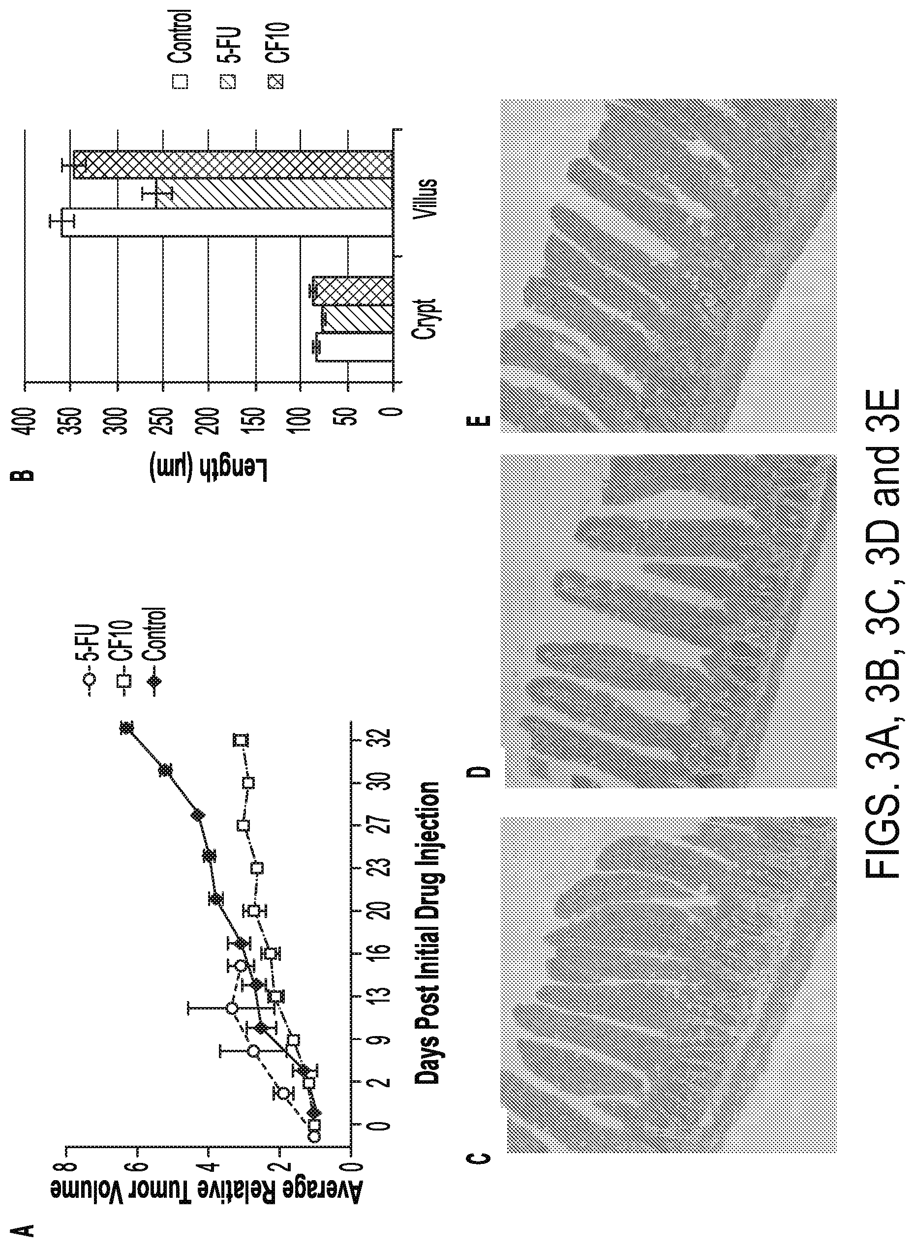 Patent US12319915 Figure 2 – Cytotoxic fluoropyrimidine polymers and methods of use thereof