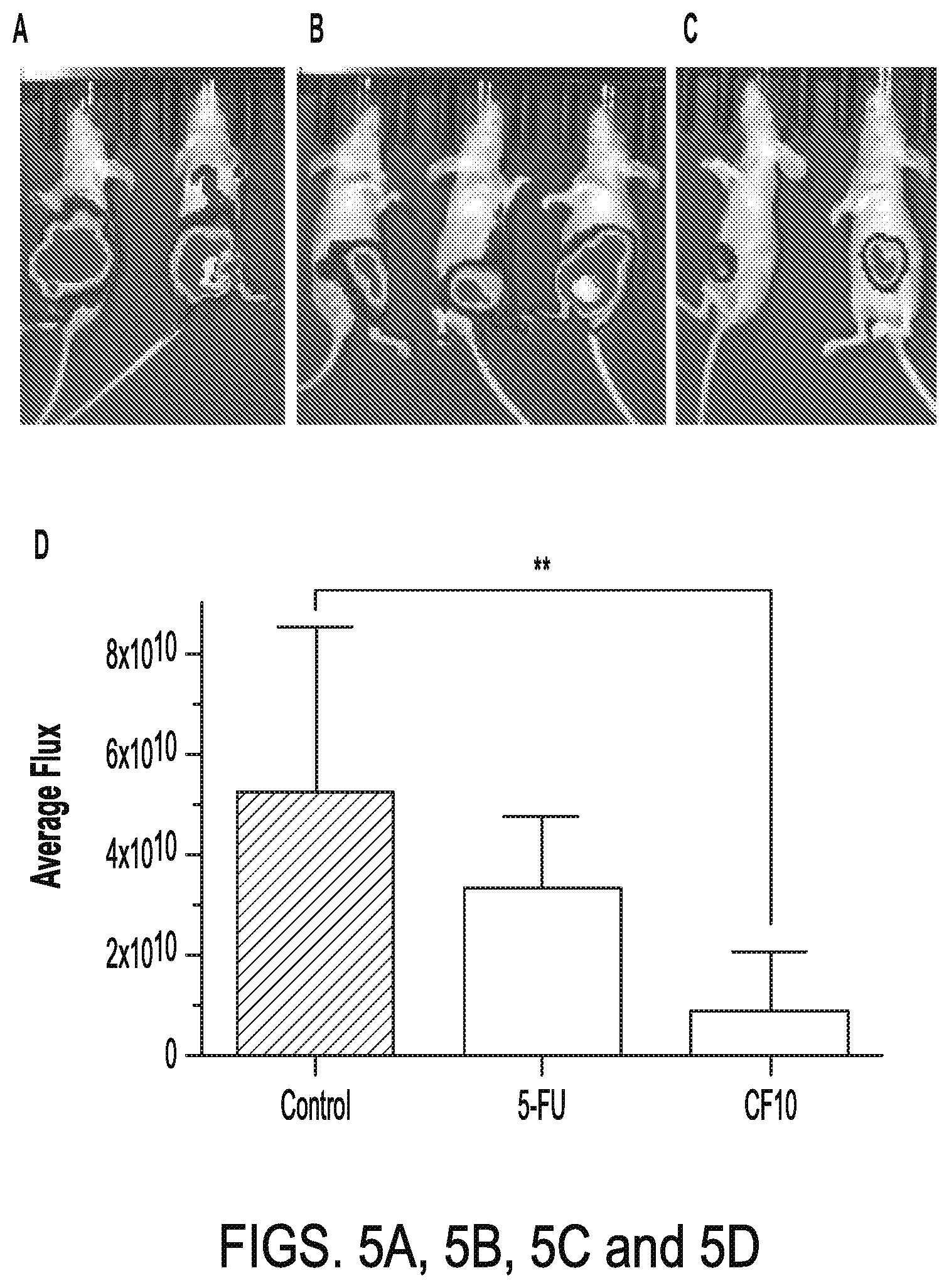 Patent US12319915 Figure 4 – Cytotoxic fluoropyrimidine polymers and methods of use thereof