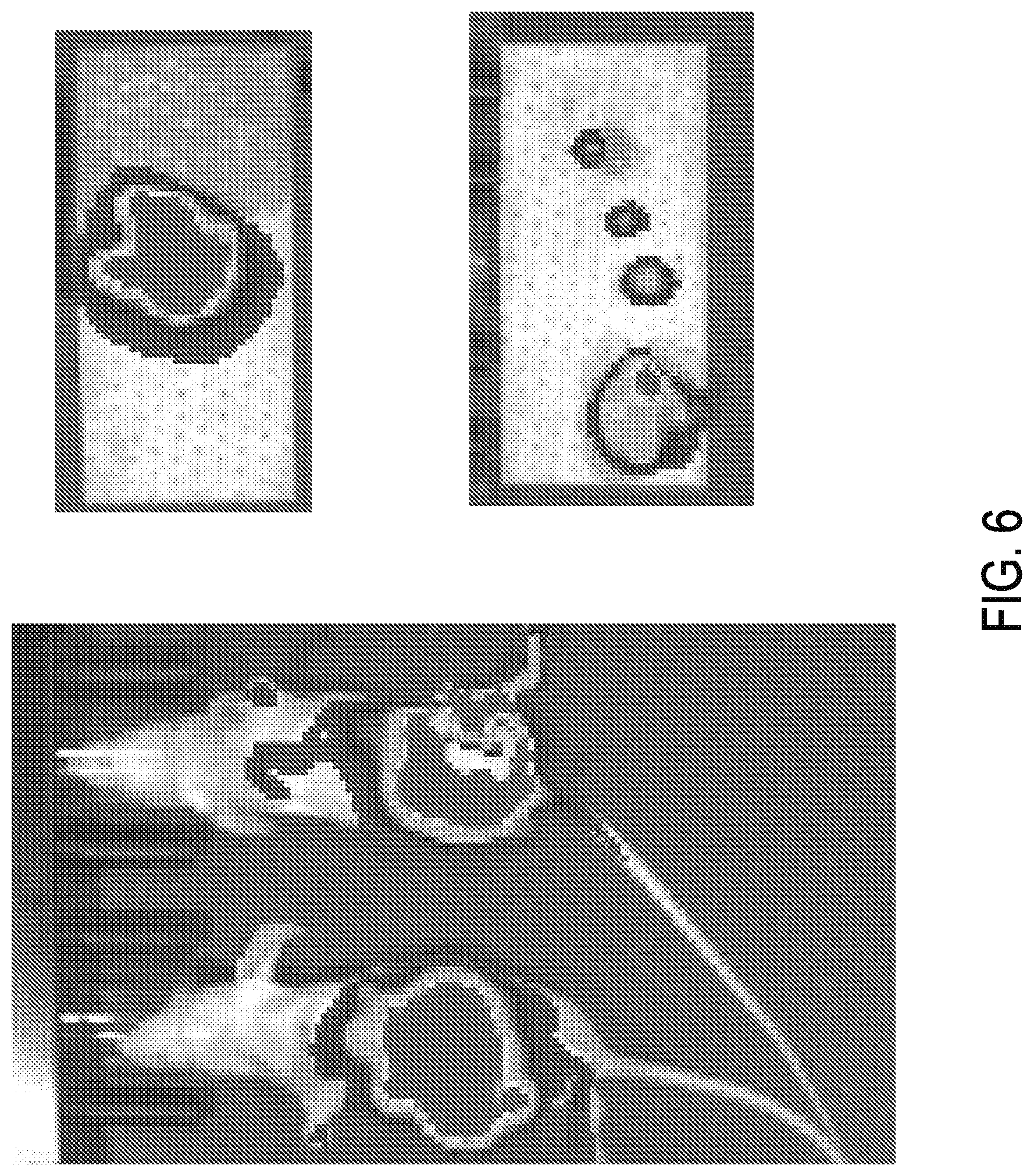 Patent US12319915 Figure 5 – Cytotoxic fluoropyrimidine polymers and methods of use thereof