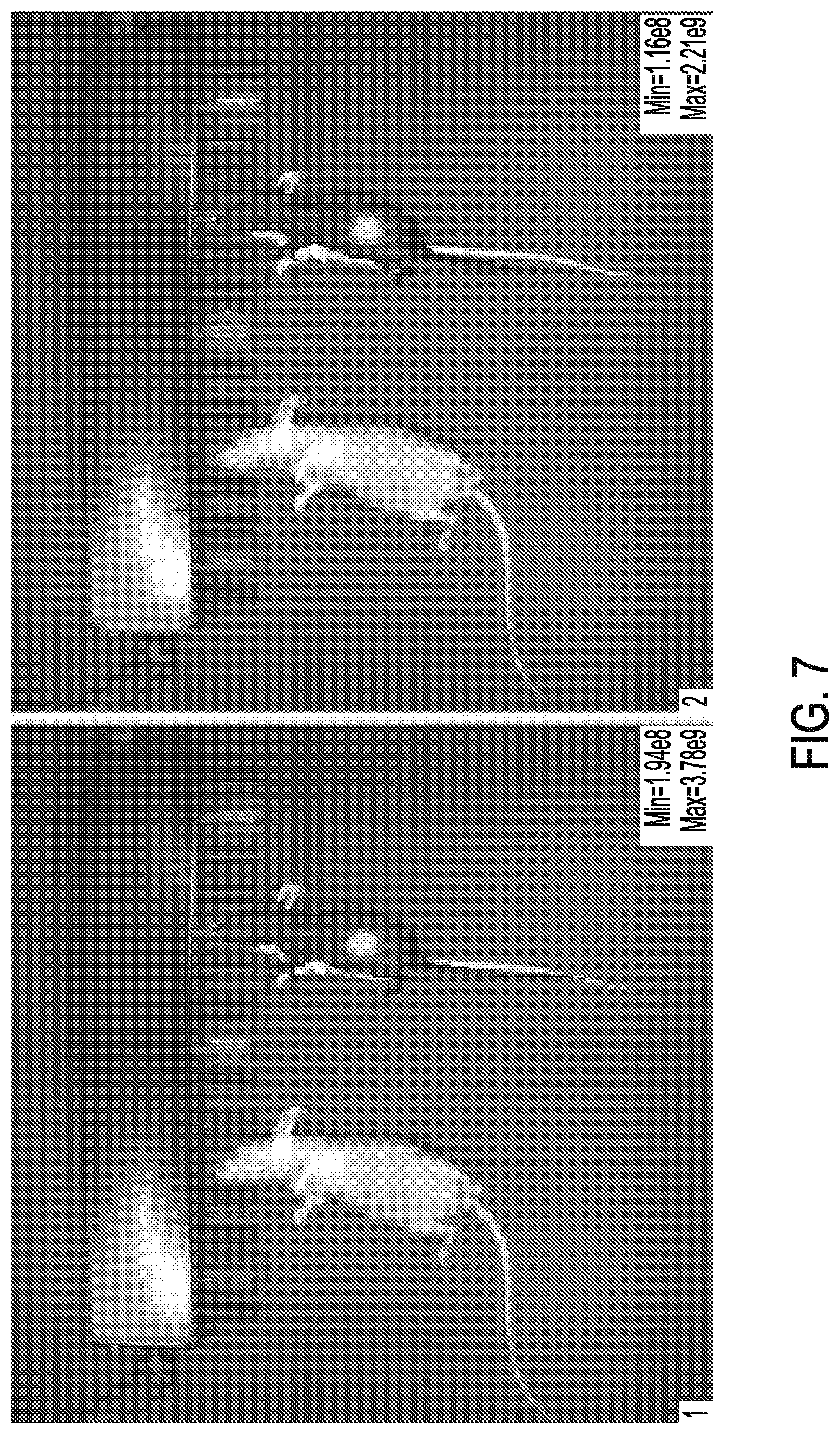 Patent US12319915 Figure 6 – Cytotoxic fluoropyrimidine polymers and methods of use thereof