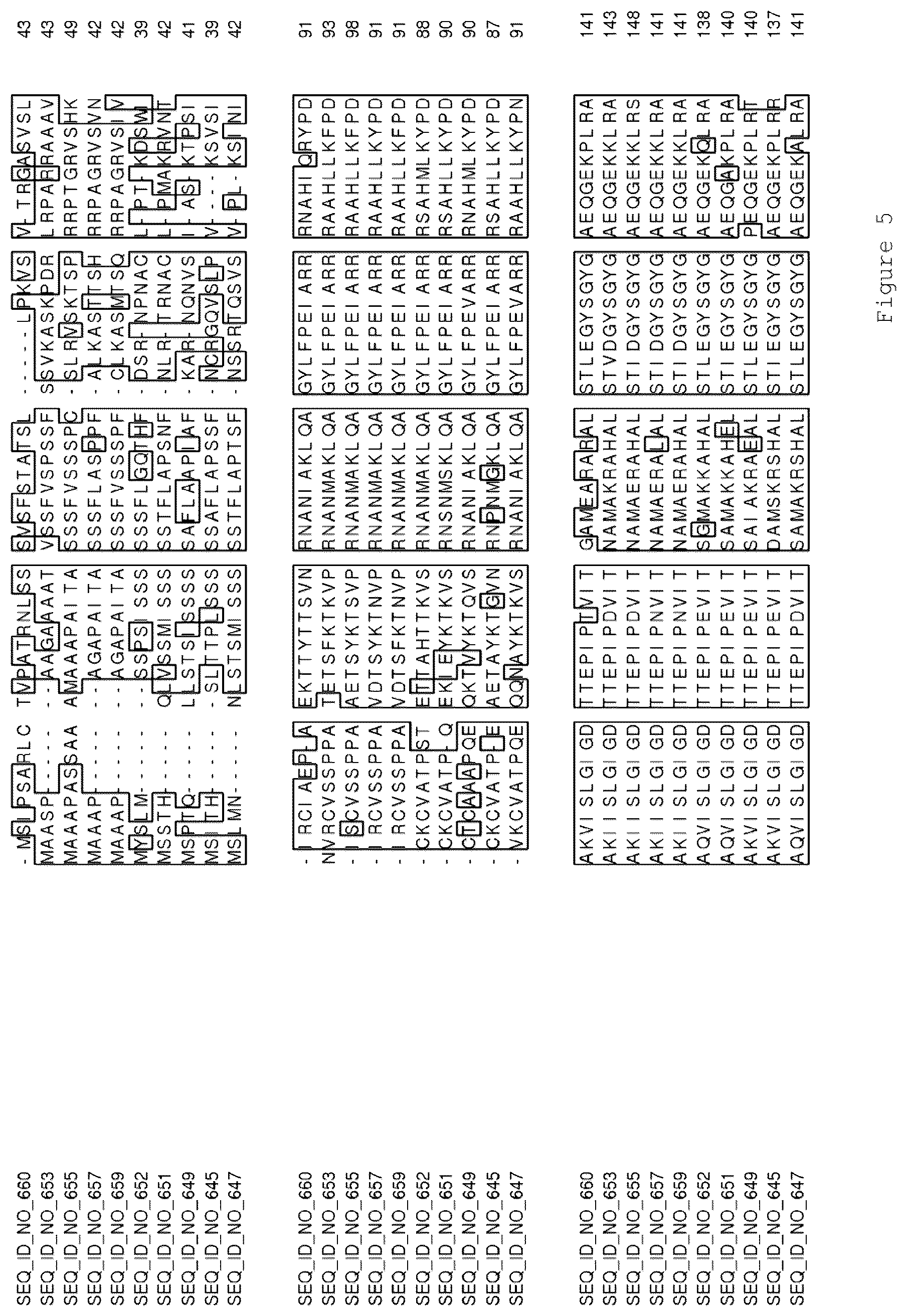 Patent US12319921 Figure 12 – Transgenic plants having increased biomass