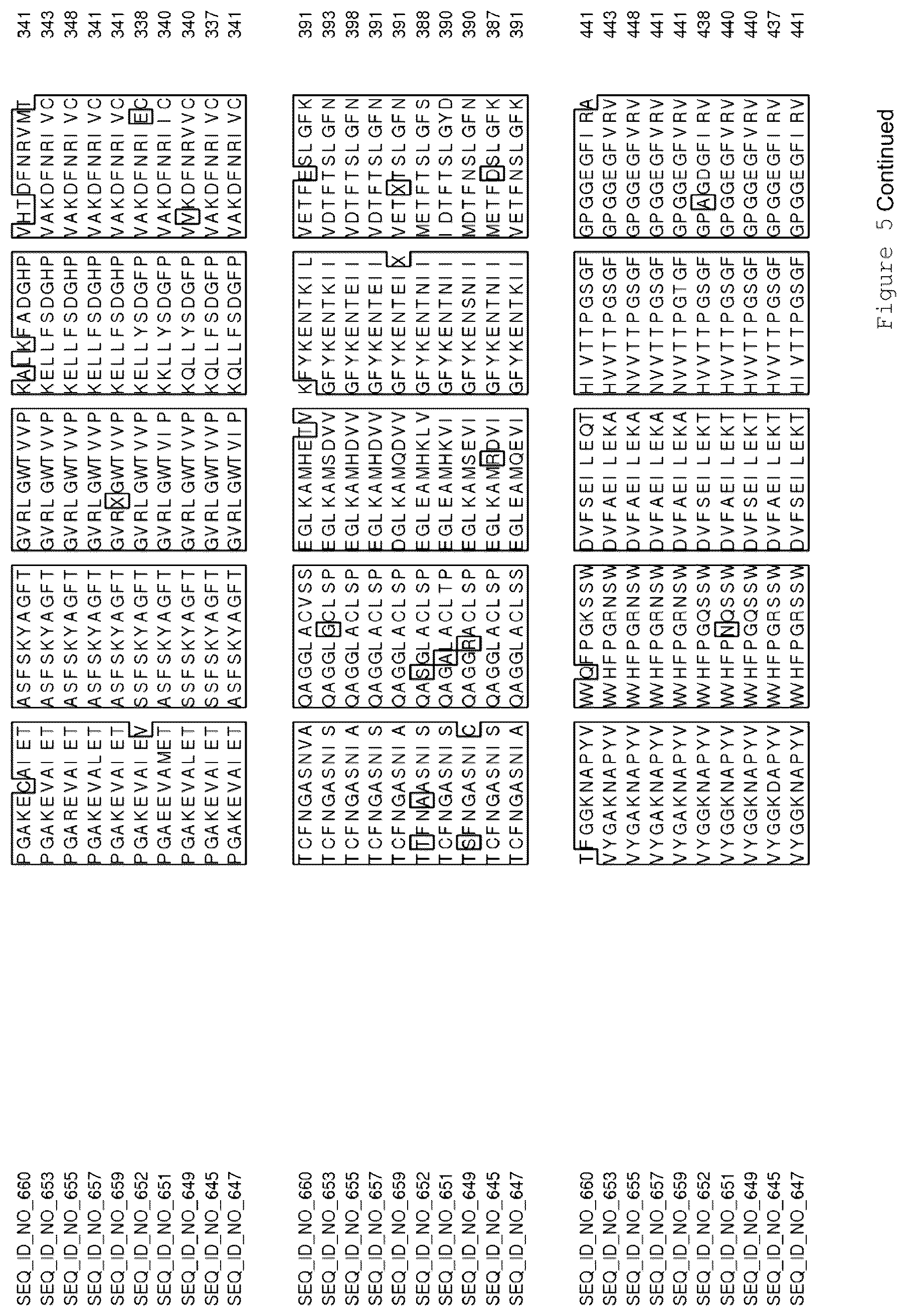 Patent US12319921 Figure 14 – Transgenic plants having increased biomass