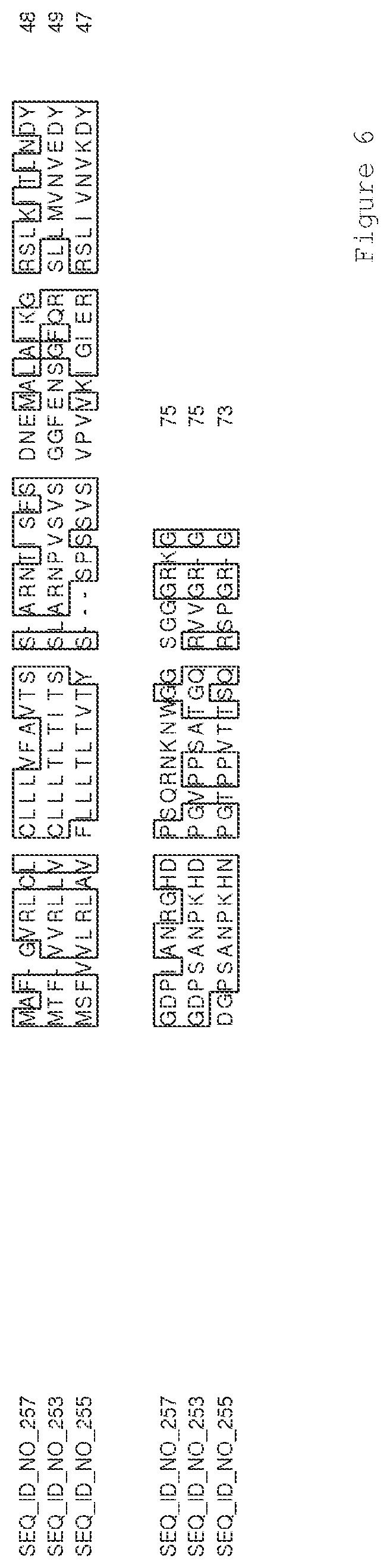 Patent US12319921 Figure 16 – Transgenic plants having increased biomass