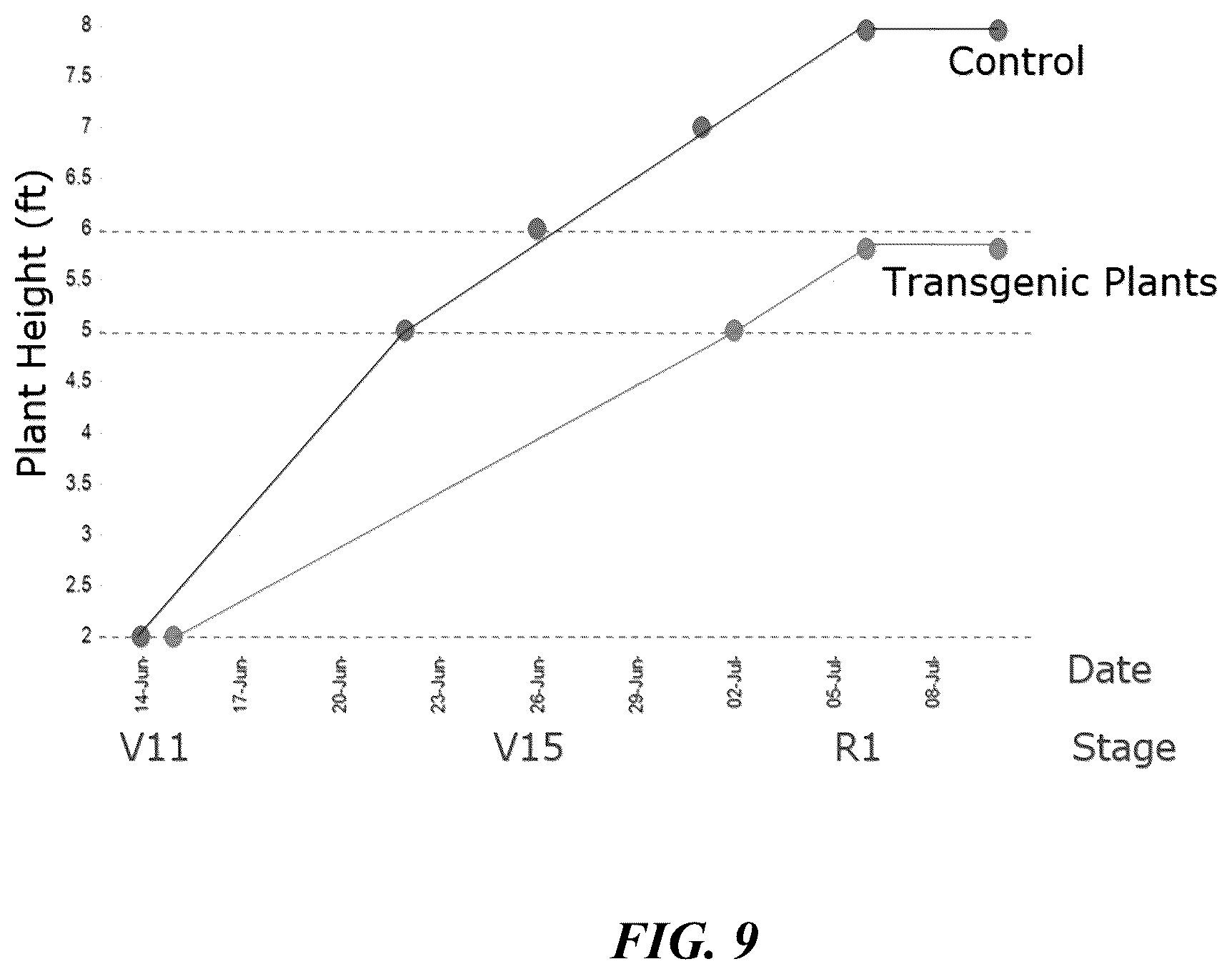 Patent US12319922 Figure 9 – Methods and compositions for short stature plants through manipulation of gibberellin metabolism to increase harvestable yield