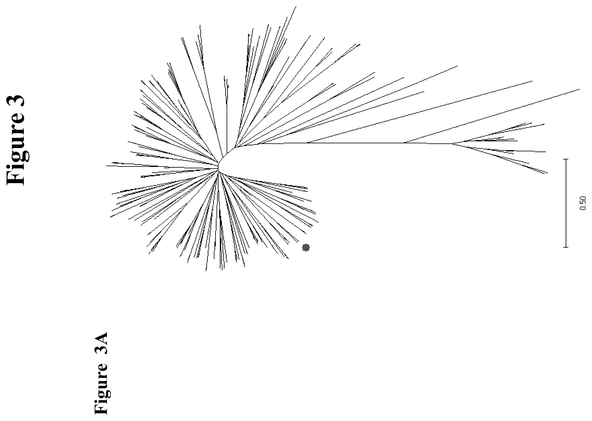 Patent US12319923 Figure 3 – Increasing trichome density and improving transport of metabolites in plant trichomes