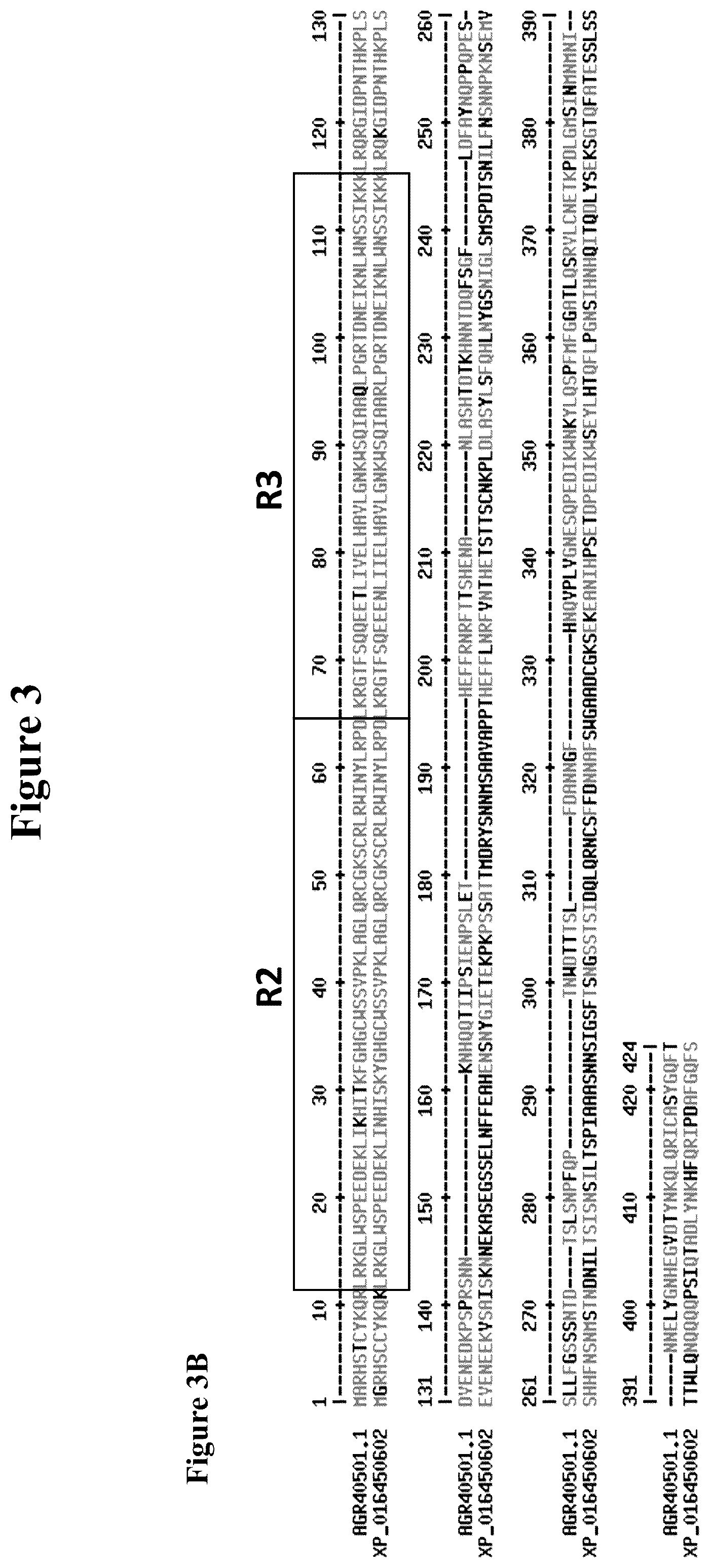 Patent US12319923 Figure 4 – Increasing trichome density and improving transport of metabolites in plant trichomes