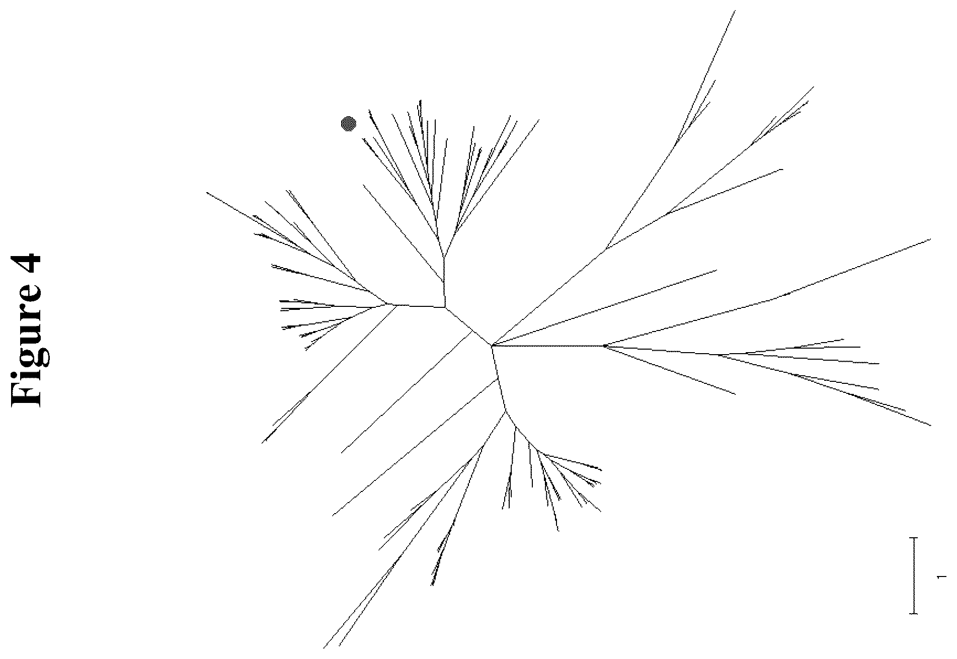 Patent US12319923 Figure 5 – Increasing trichome density and improving transport of metabolites in plant trichomes