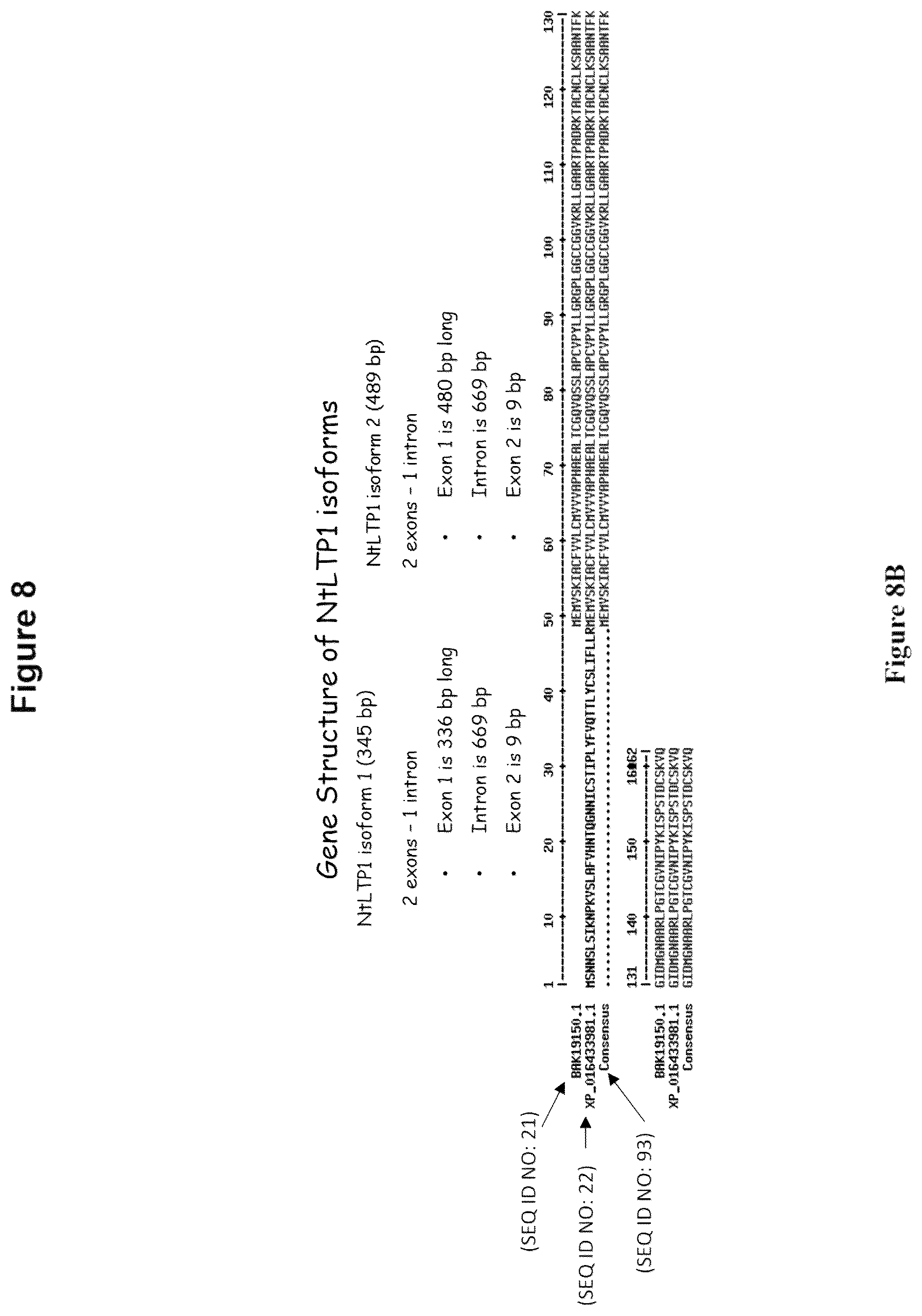 Patent US12319923 Figure 12 – Increasing trichome density and improving transport of metabolites in plant trichomes