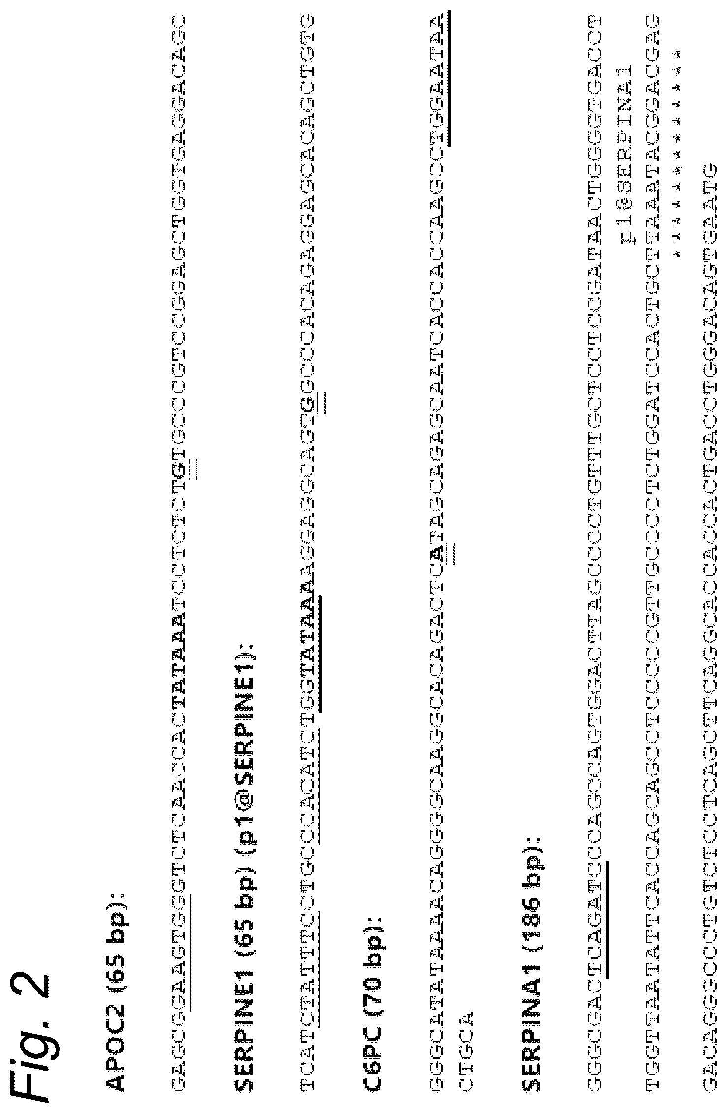 Patent US12319924 Figure 2 – Liver-specific viral promoters and methods of using the same
