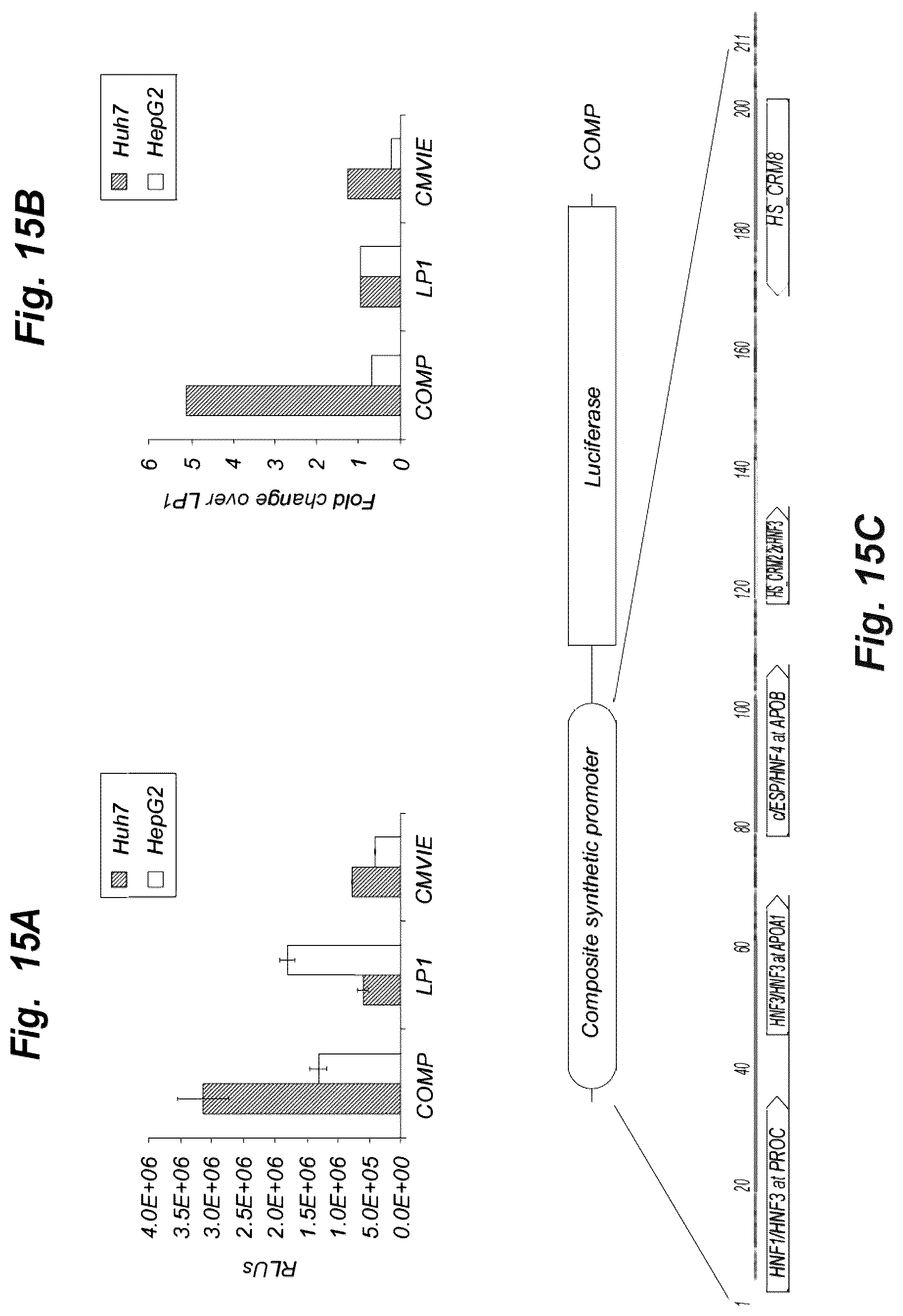 Patent US12319924 Figure 15 – Liver-specific viral promoters and methods of using the same