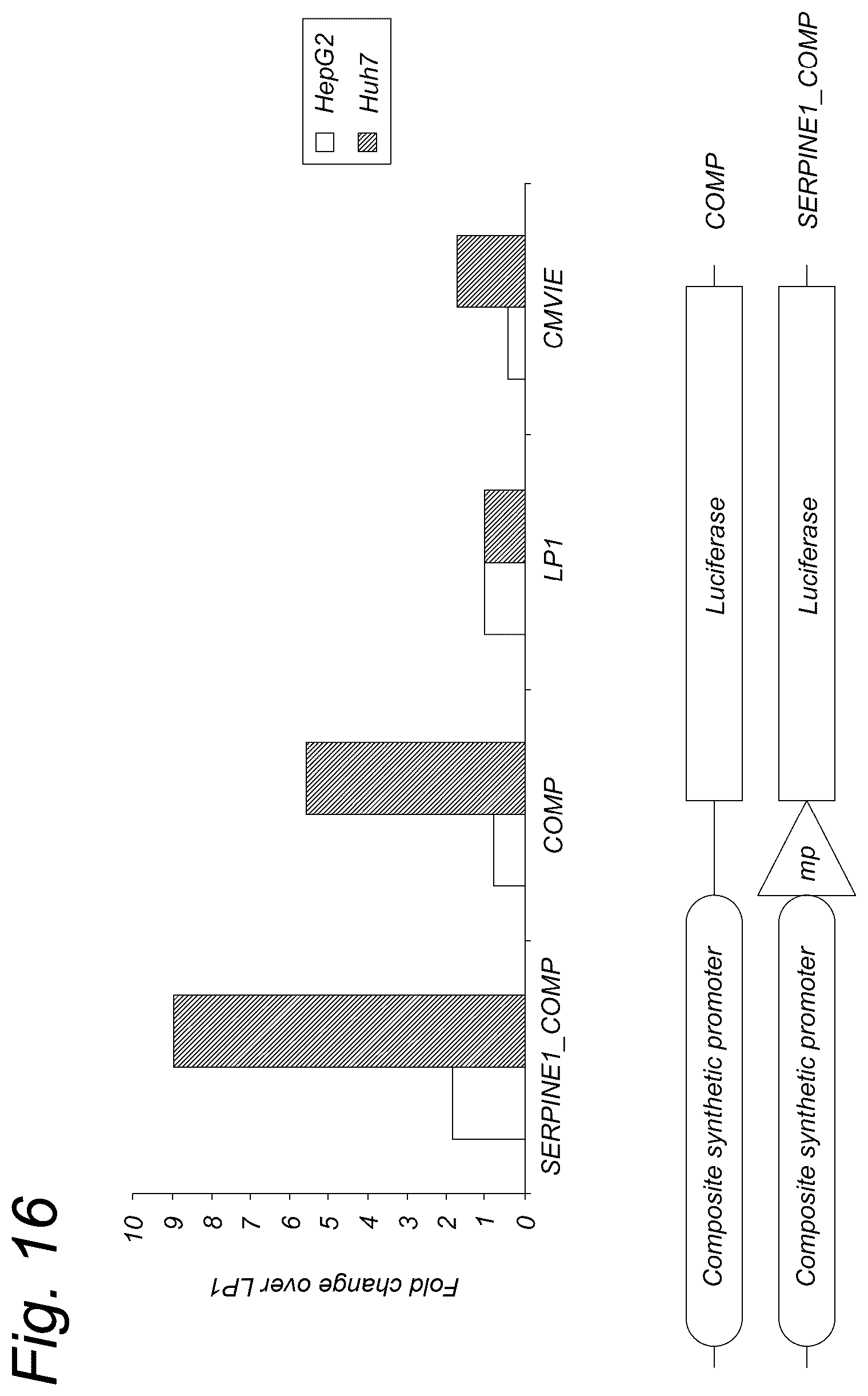 Patent US12319924 Figure 16 – Liver-specific viral promoters and methods of using the same