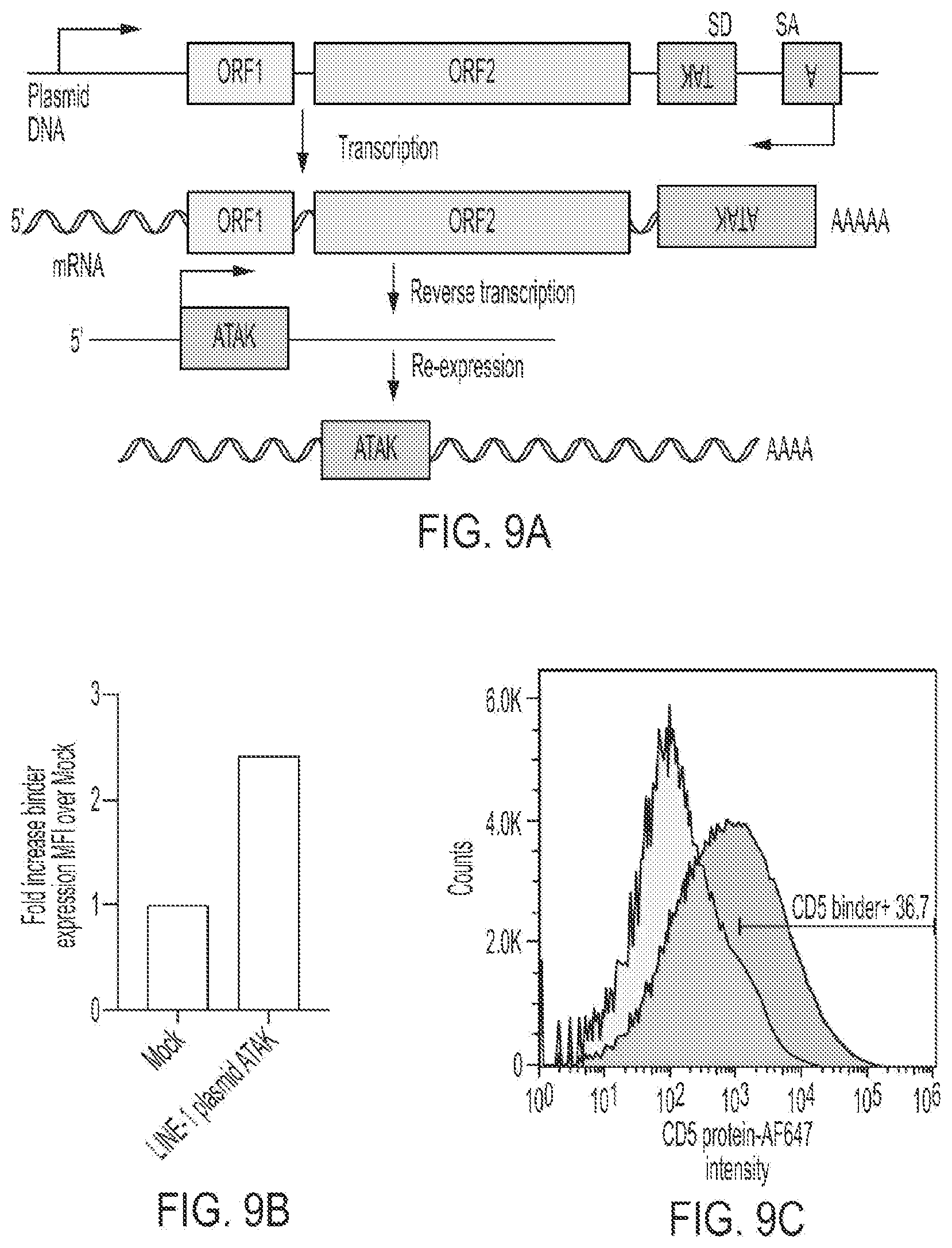 Patent US12319925 Figure 19 – Methods and compositions for genomic integration