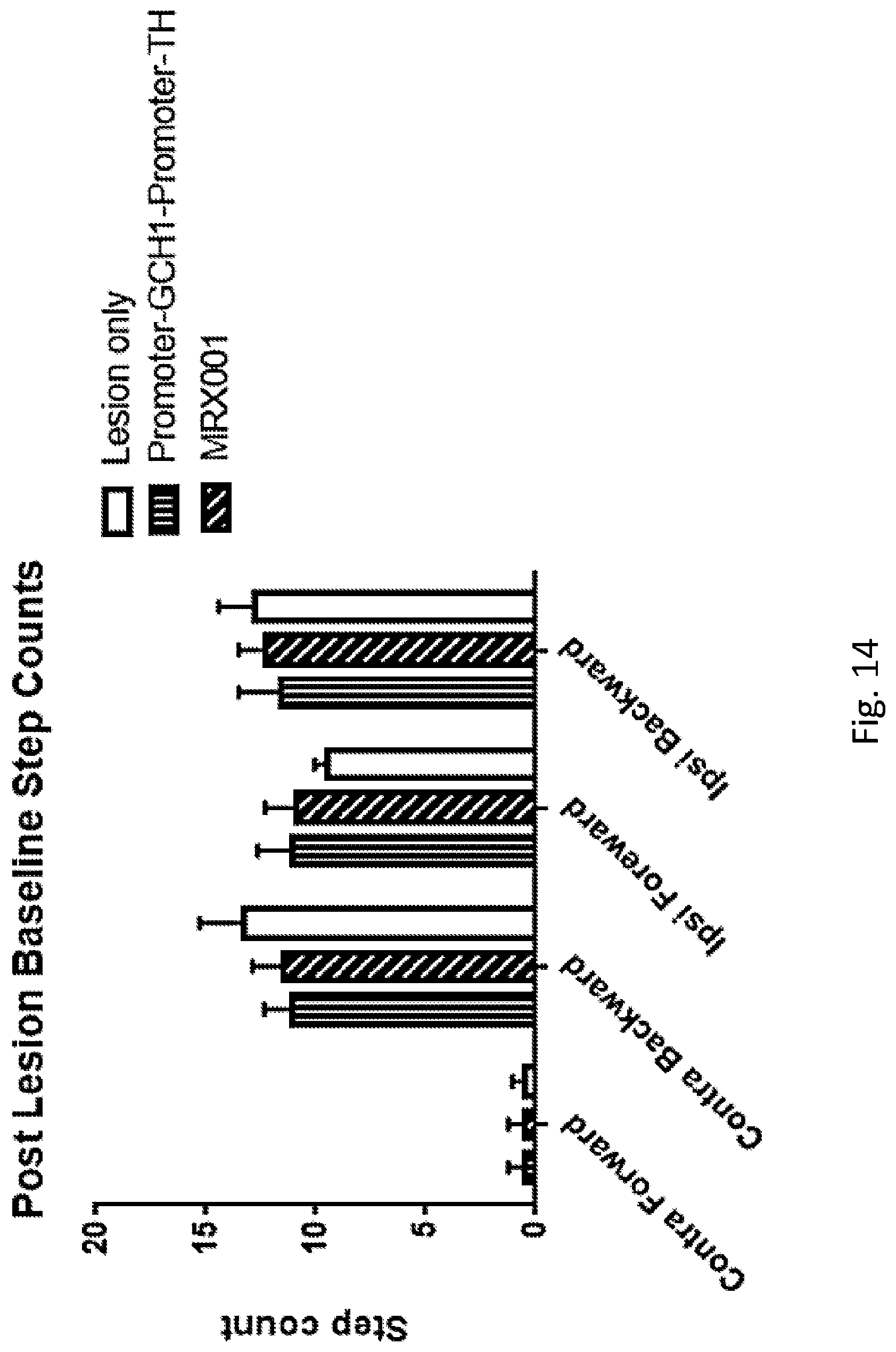 Patent US12319927 Figure 14 – Genetic construct