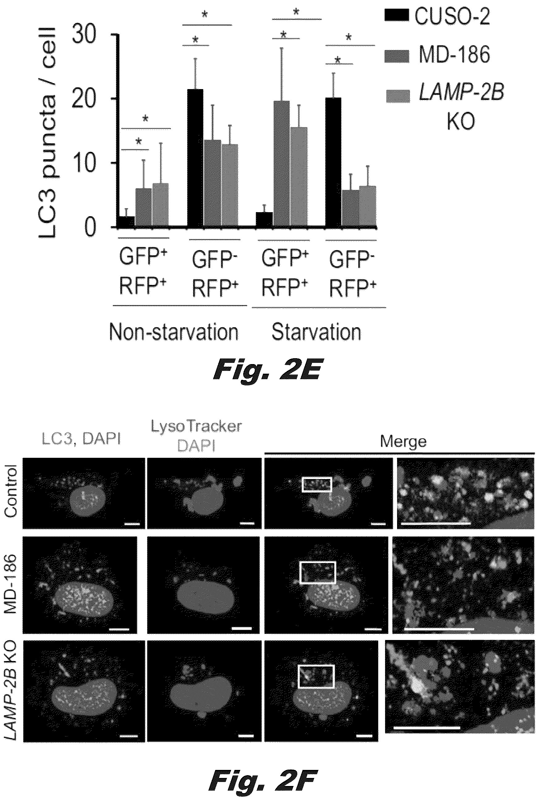 Patent US12319928 Figure 4 – Methods of treating Danon disease