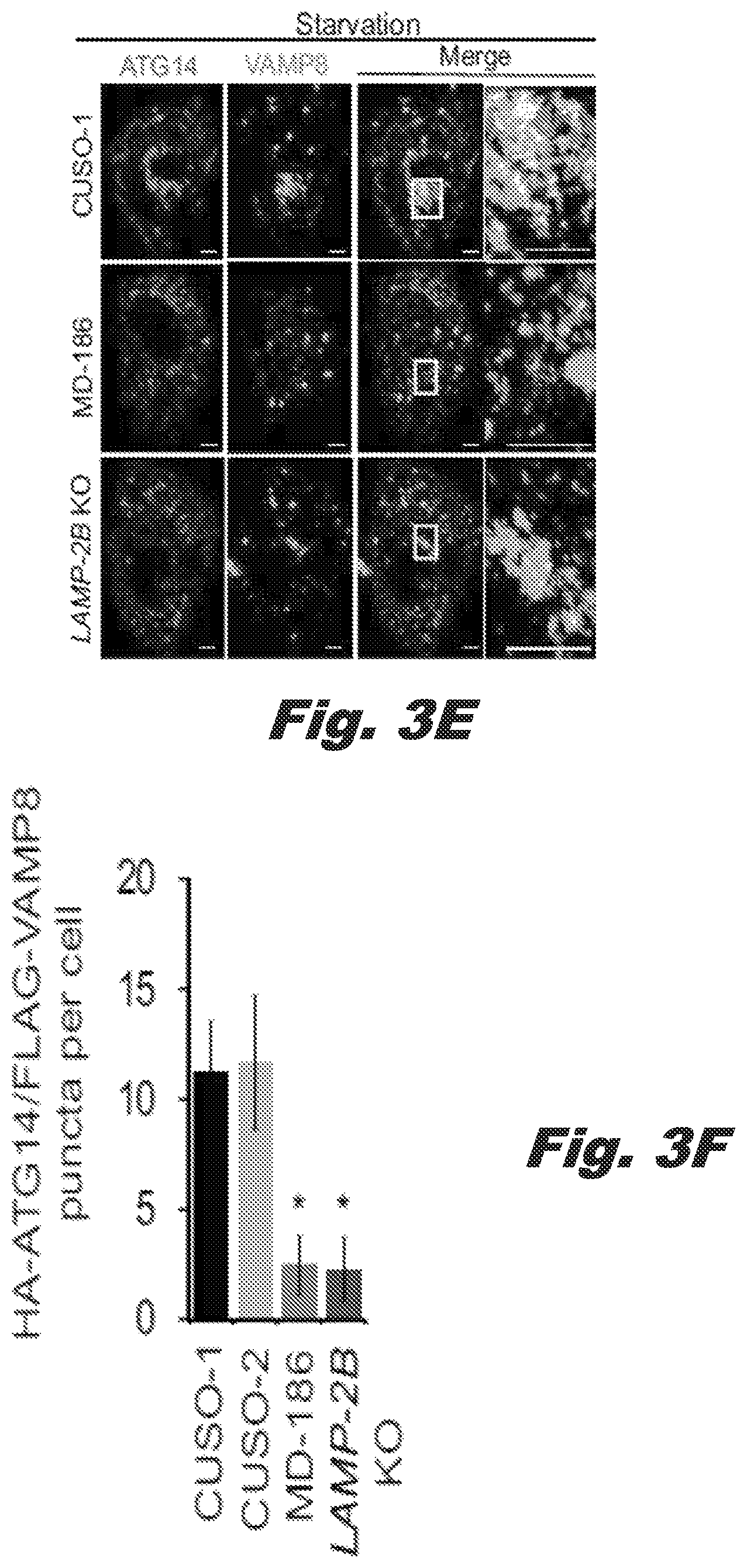 Patent US12319928 Figure 8 – Methods of treating Danon disease