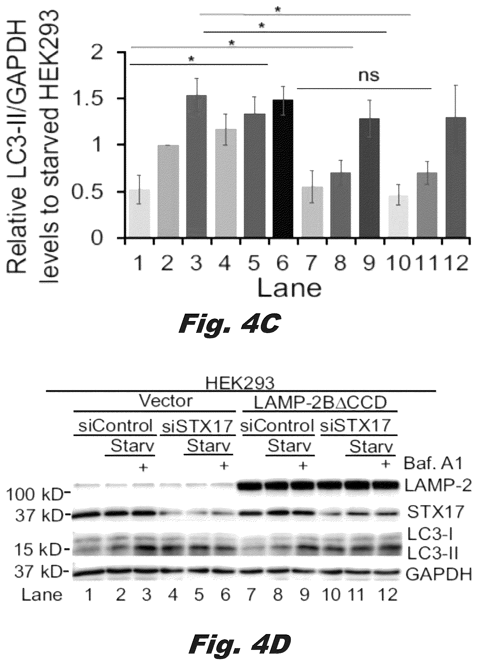 Patent US12319928 Figure 10 – Methods of treating Danon disease