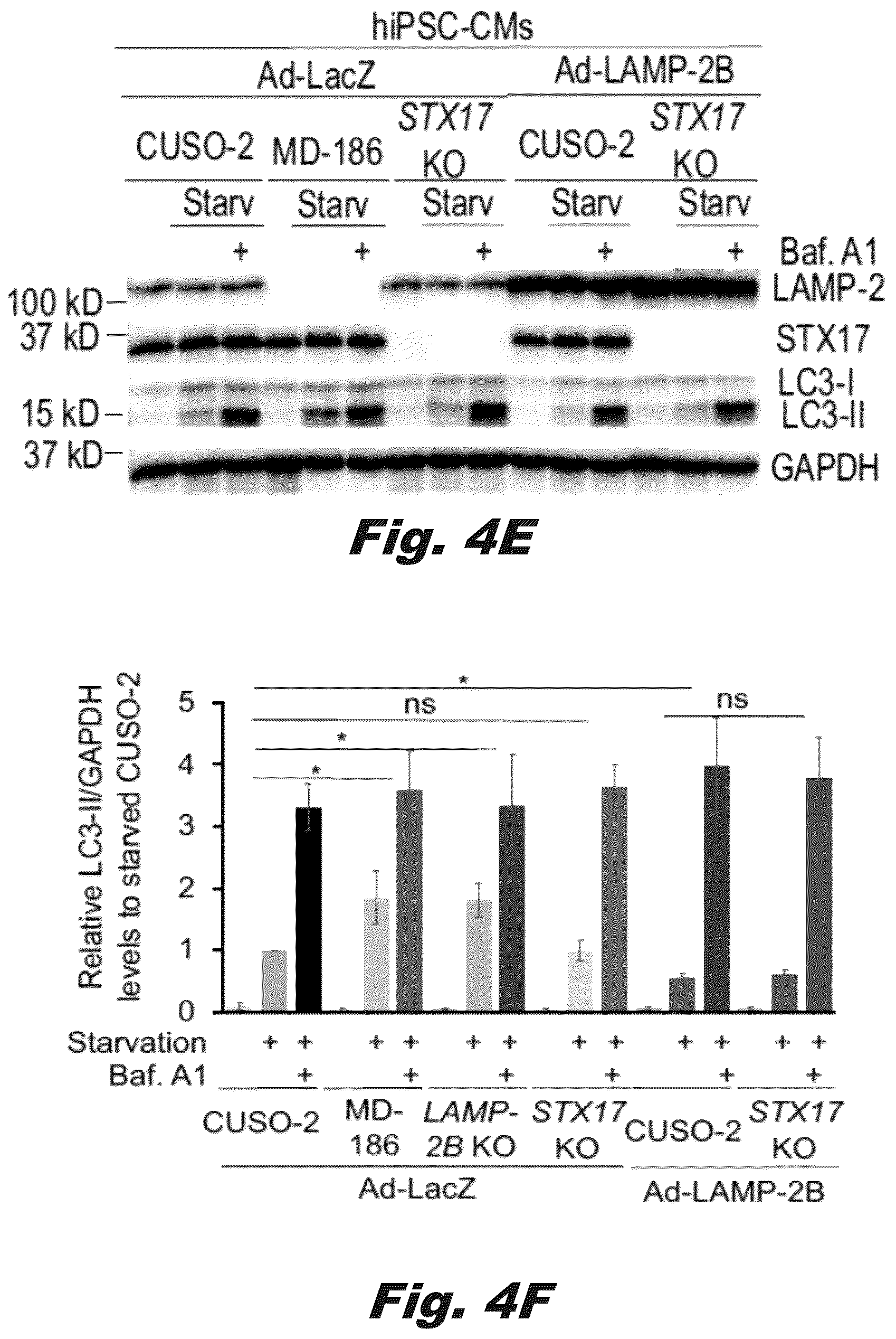 Patent US12319928 Figure 11 – Methods of treating Danon disease