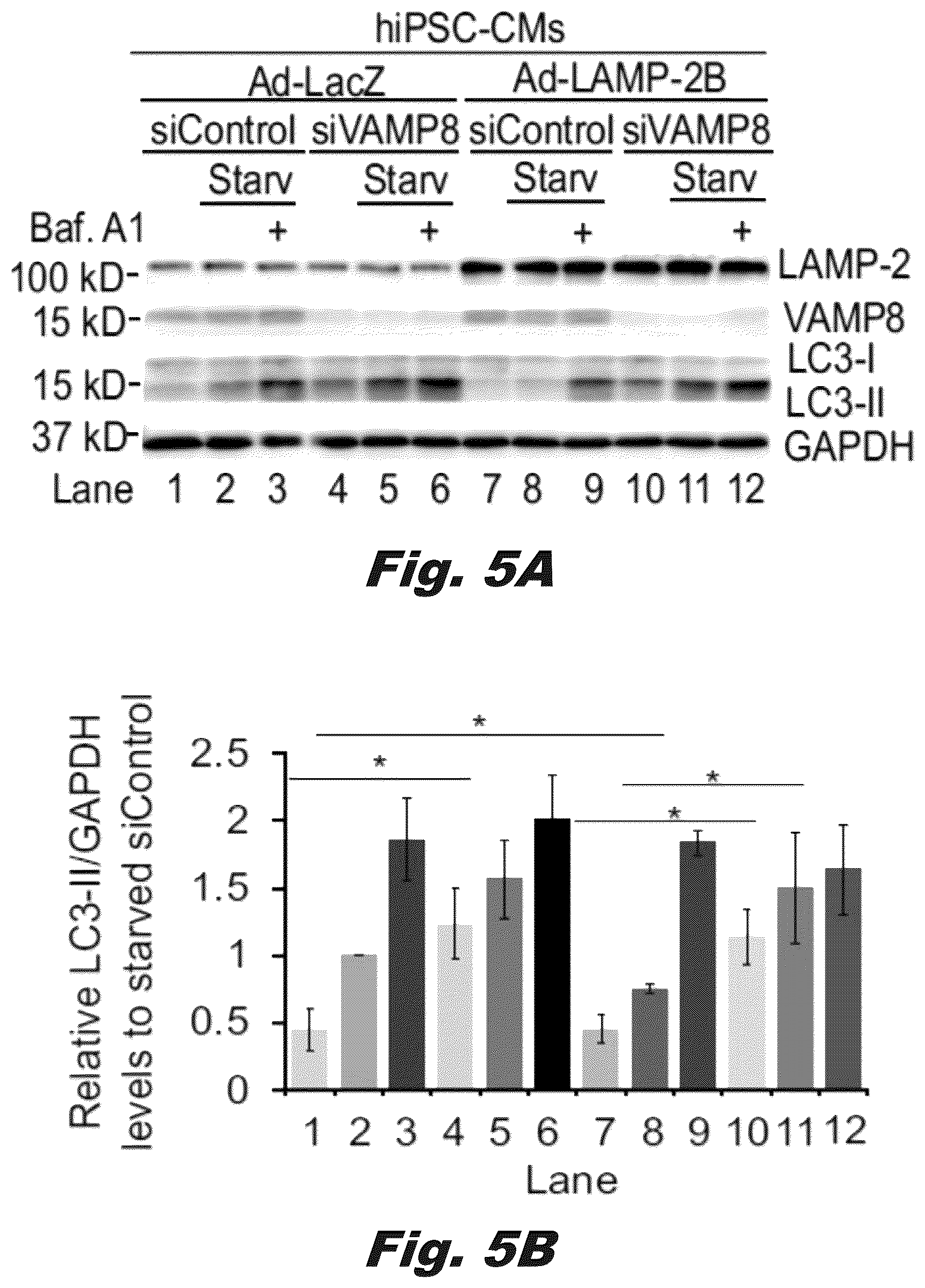 Patent US12319928 Figure 12 – Methods of treating Danon disease
