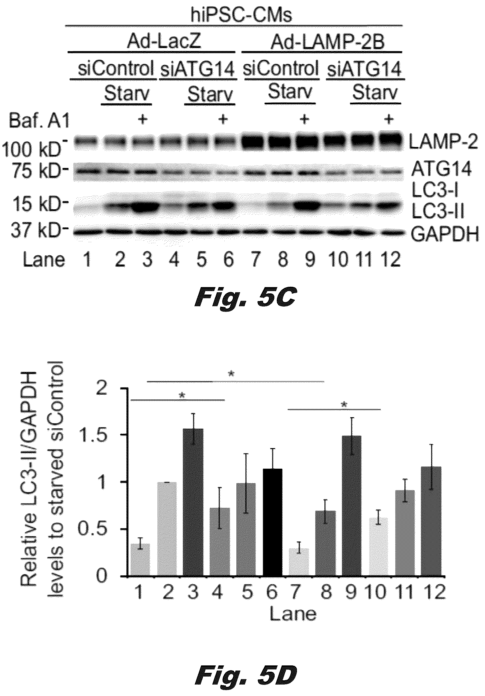 Patent US12319928 Figure 13 – Methods of treating Danon disease