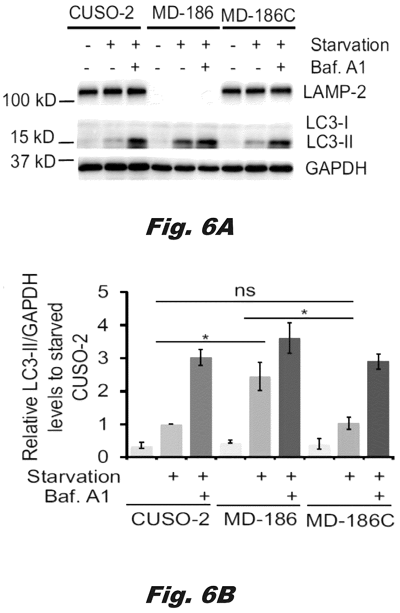 Patent US12319928 Figure 14 – Methods of treating Danon disease
