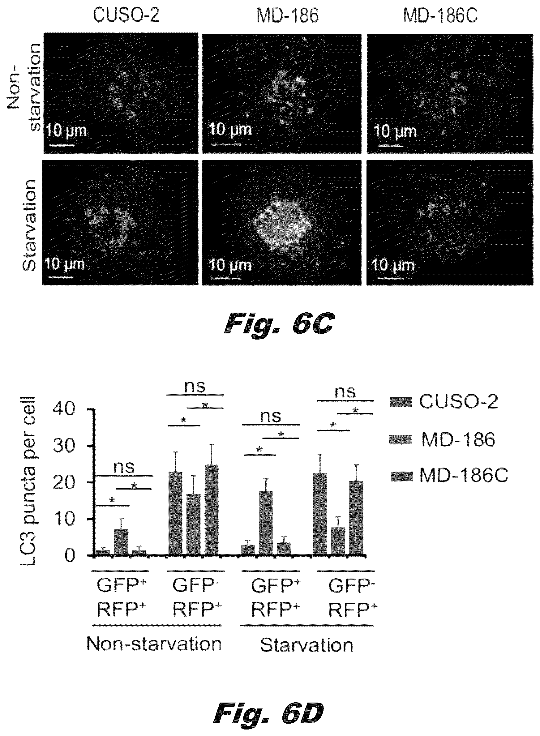 Patent US12319928 Figure 15 – Methods of treating Danon disease