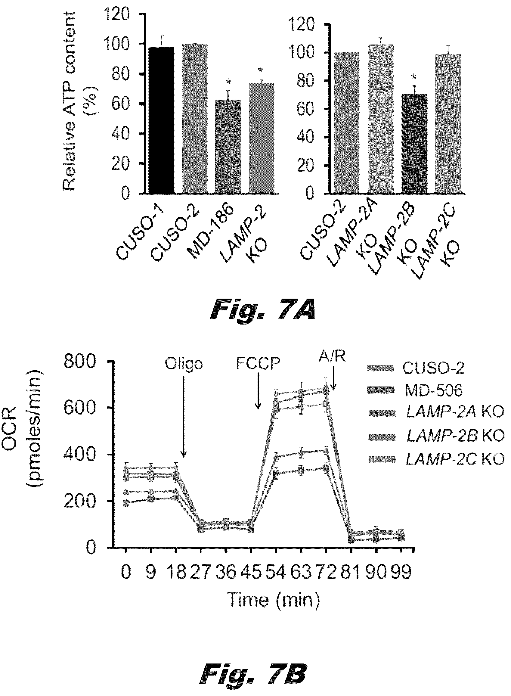 Patent US12319928 Figure 18 – Methods of treating Danon disease