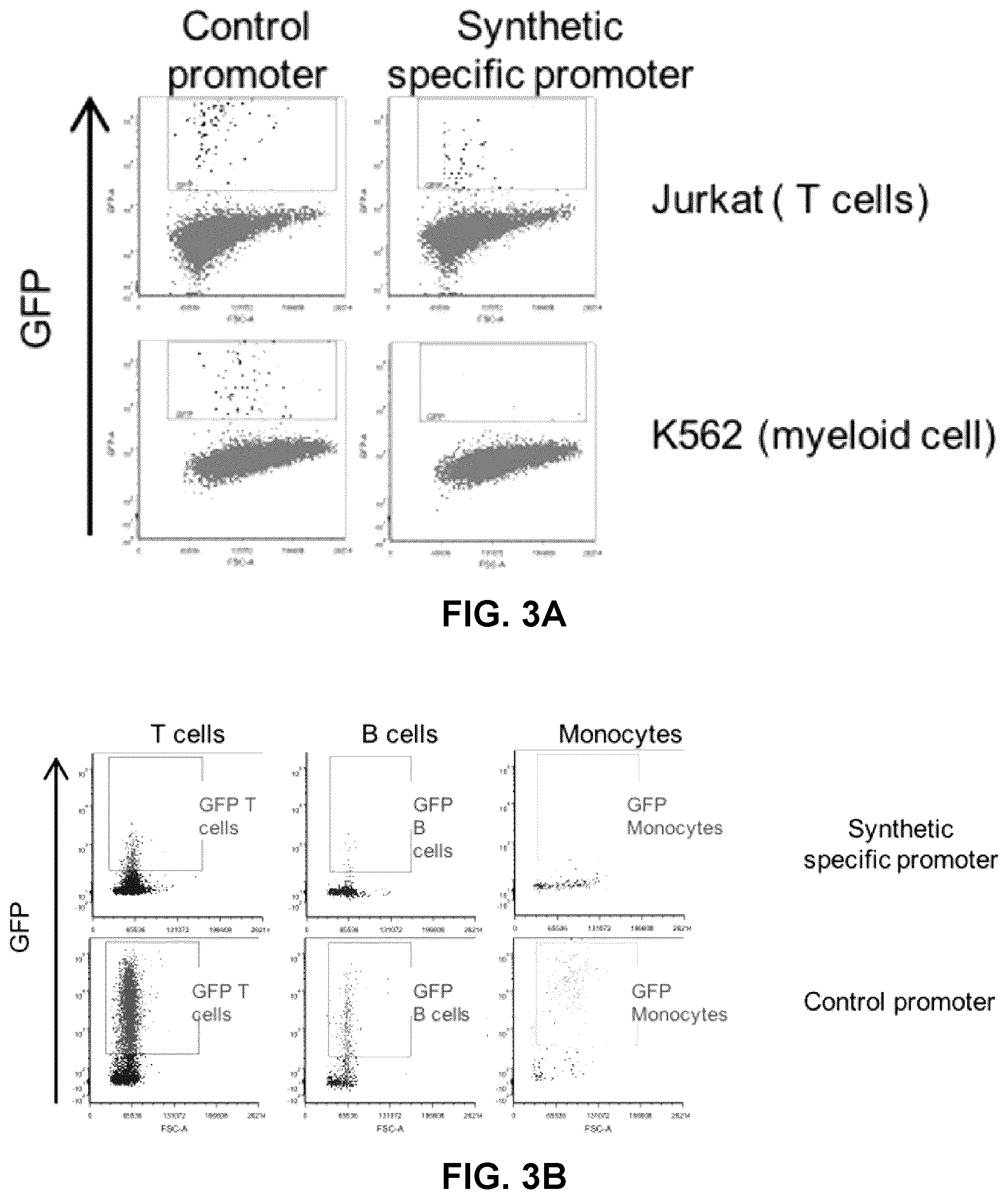 Patent US12319930 Figure 4 – Cell specific transcriptional regulatory sequences and uses thereof