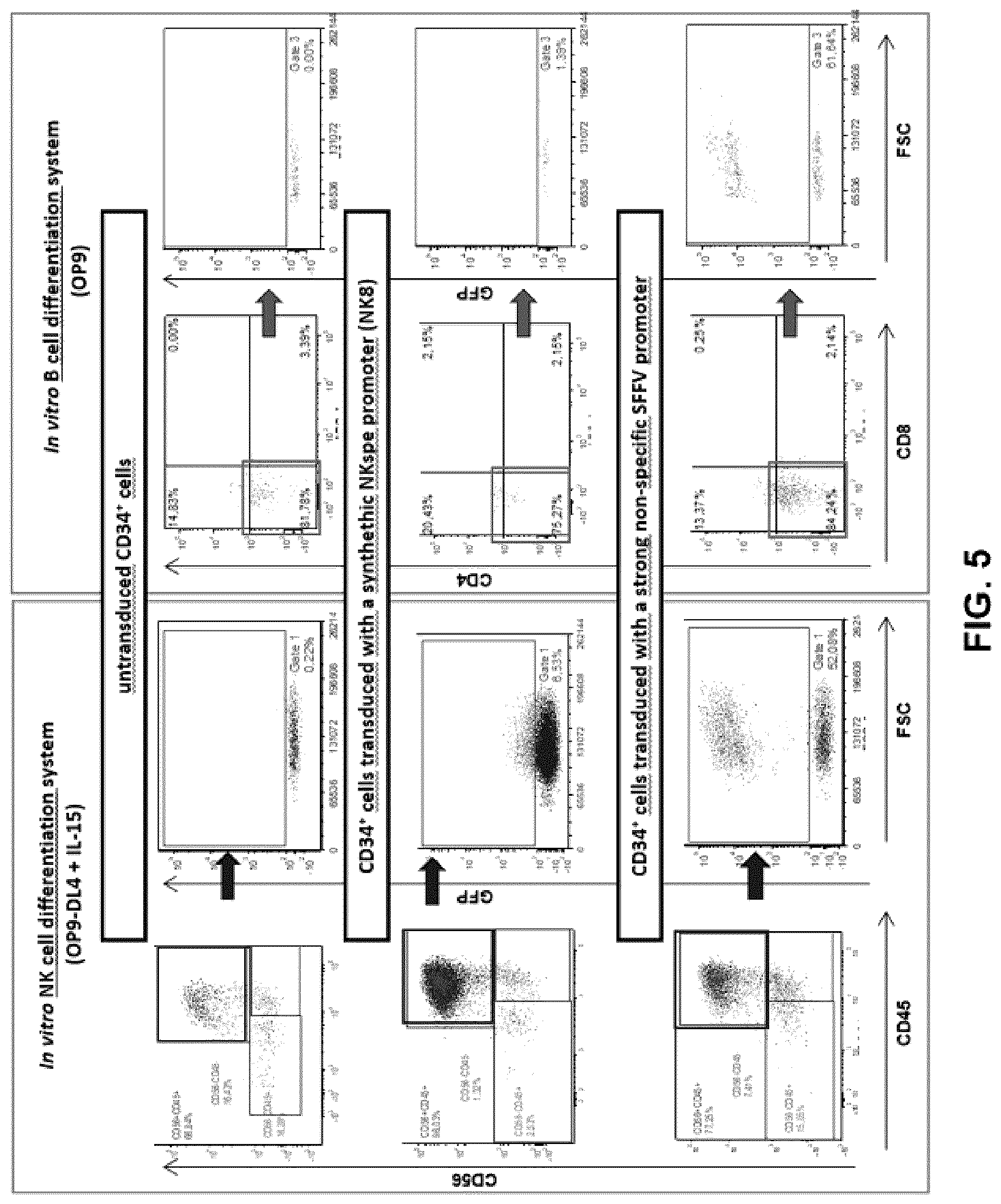 Patent US12319930 Figure 6 – Cell specific transcriptional regulatory sequences and uses thereof