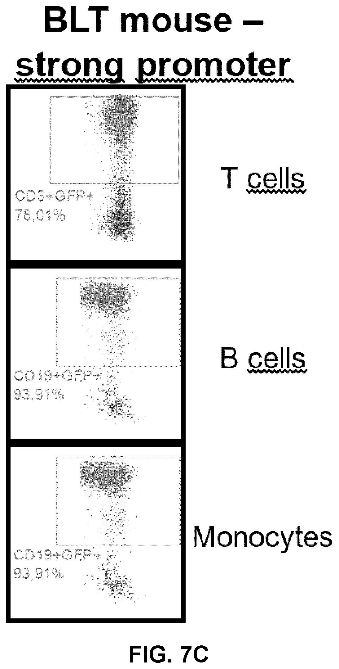 Patent US12319930 Figure 10 – Cell specific transcriptional regulatory sequences and uses thereof