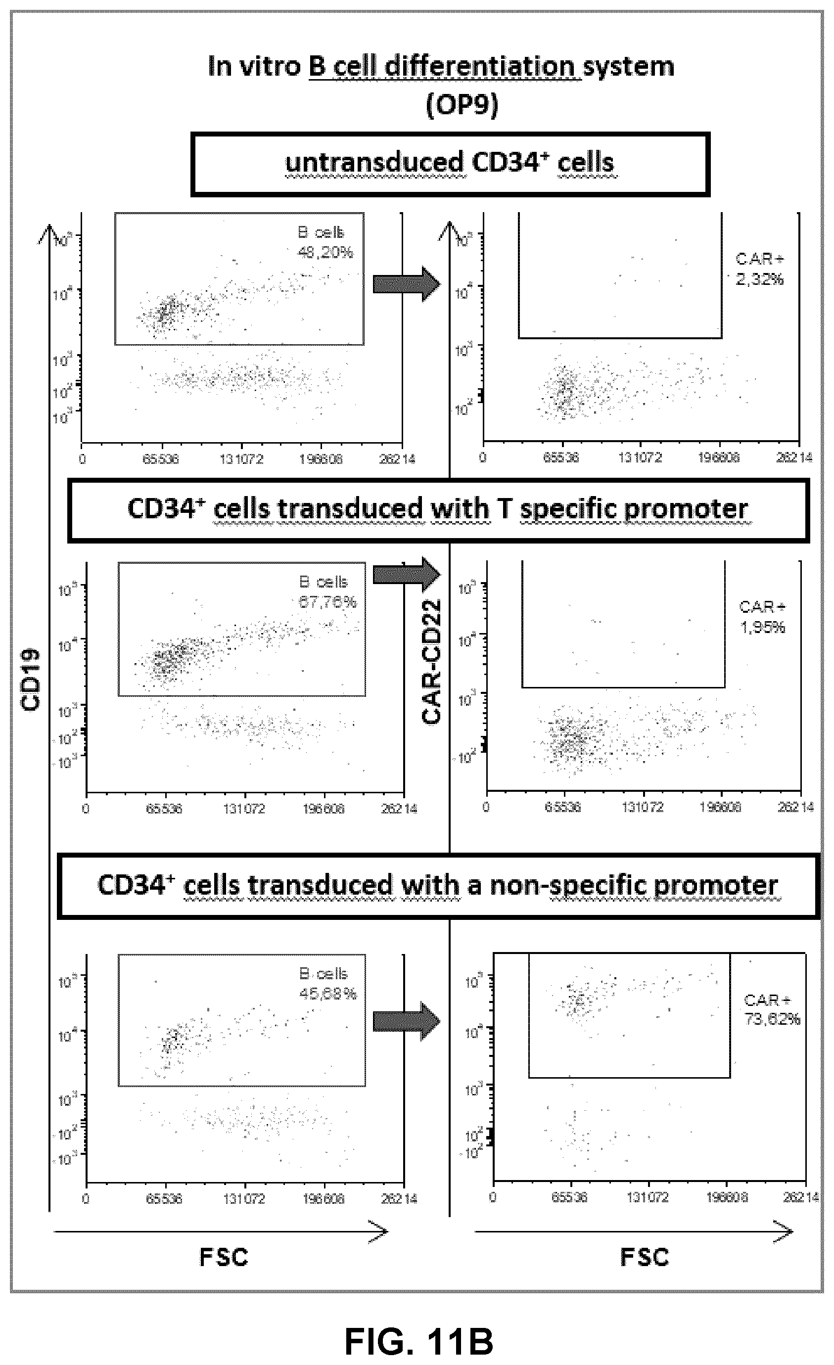 Patent US12319930 Figure 16 – Cell specific transcriptional regulatory sequences and uses thereof