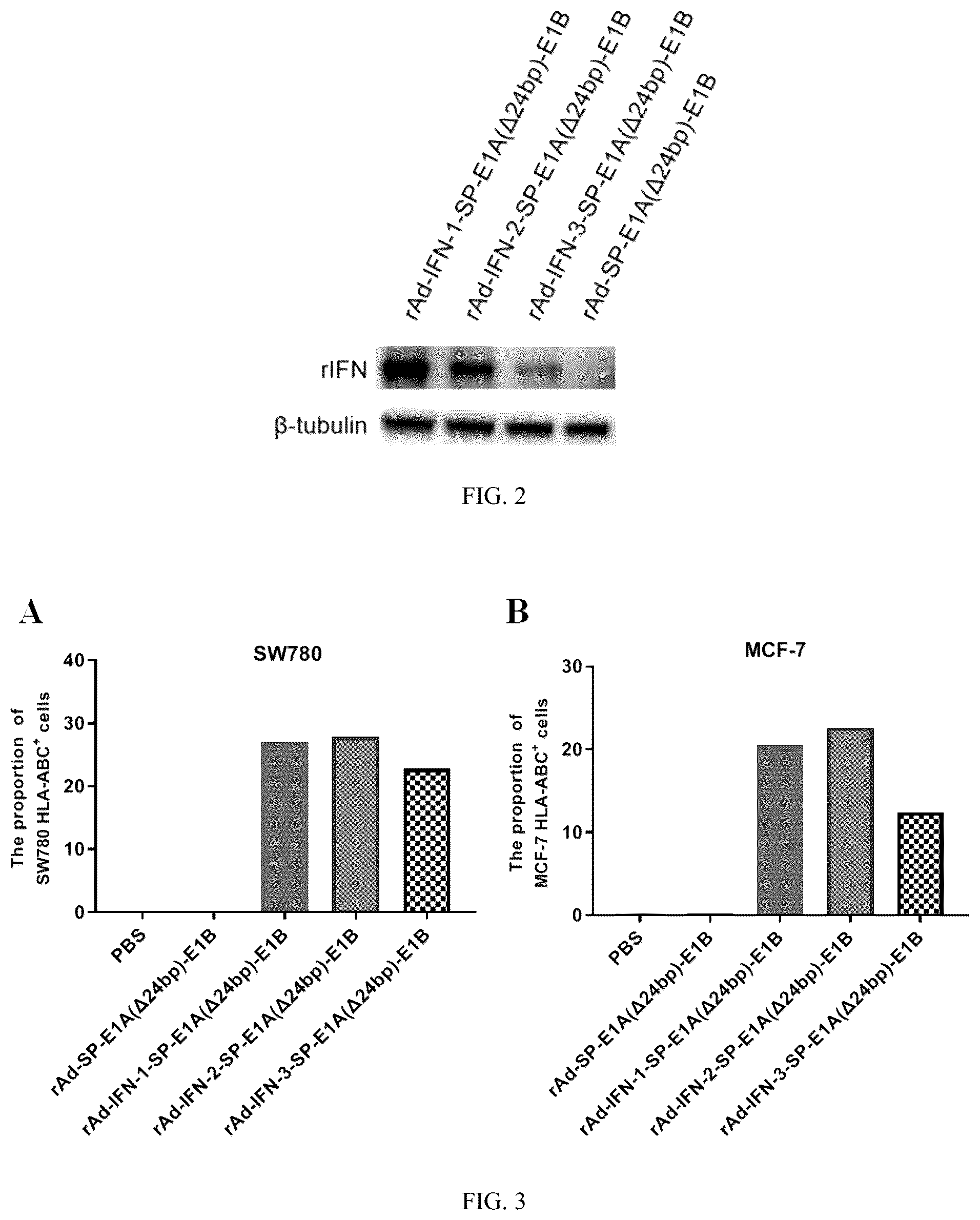 Patent US12319931 Figure 2 – Oncolytic virus expressing interferon and application therefor