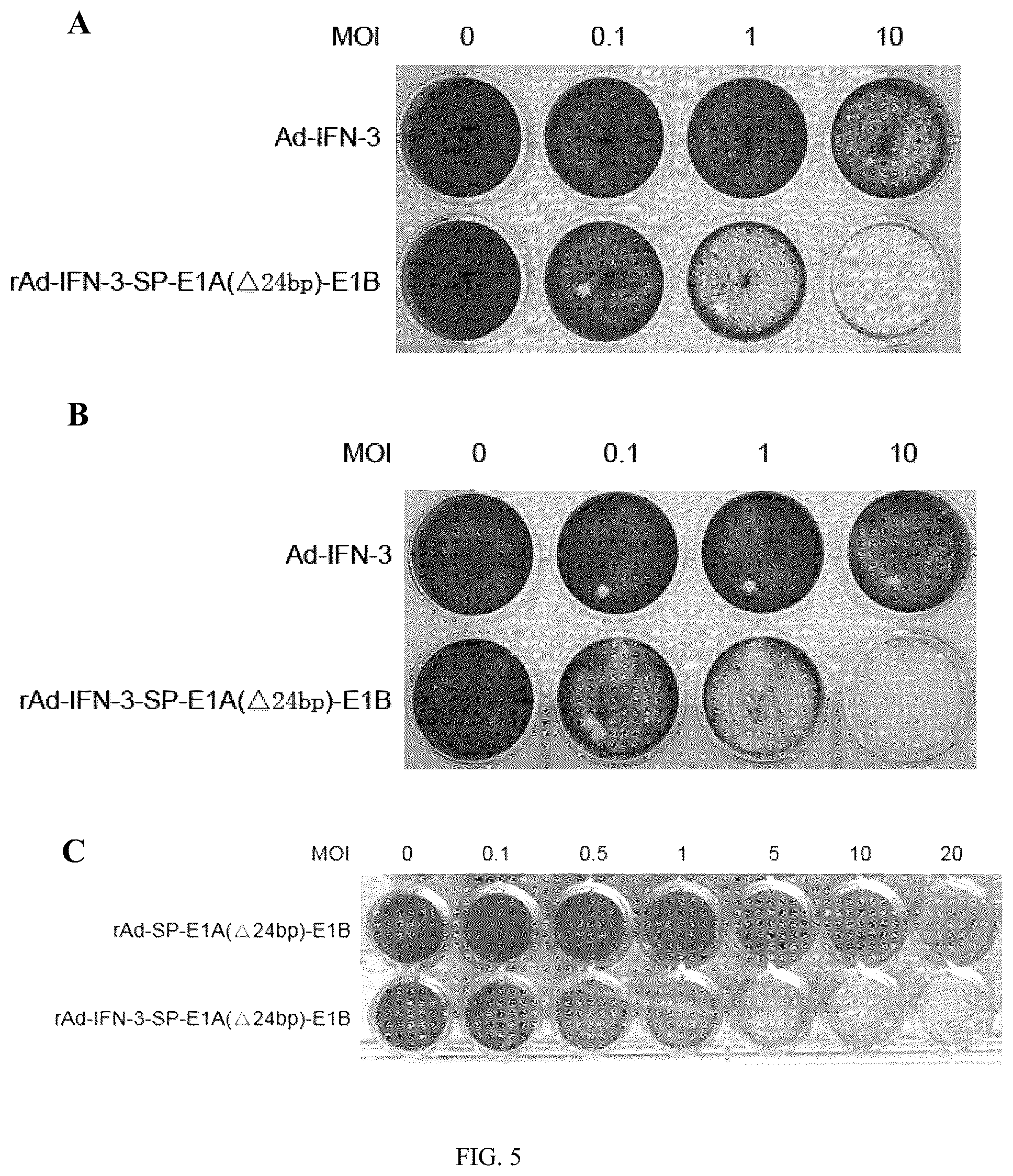 Patent US12319931 Figure 4 – Oncolytic virus expressing interferon and application therefor